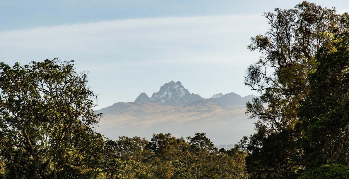 Serena Mountain Lodge 11
