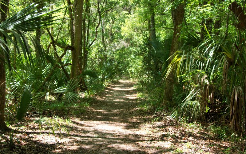 Vandrestier Ved Crystal River Florida