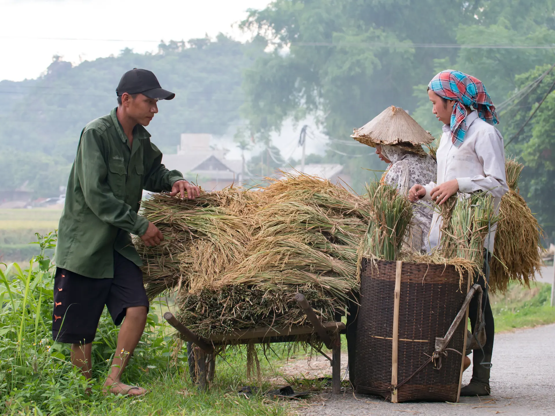 Shutterstock 444608842