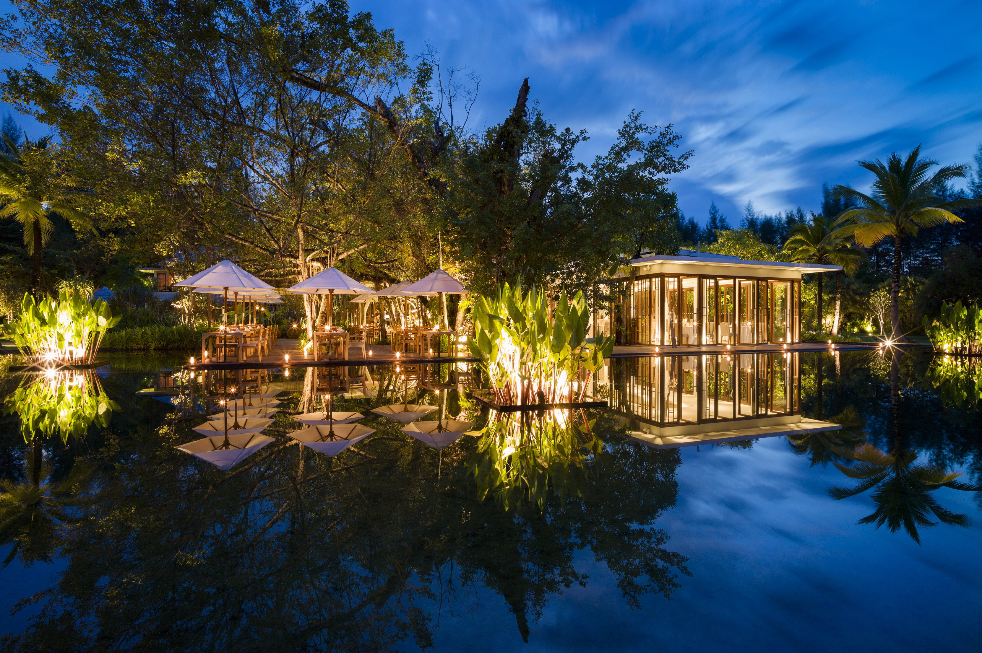 DI#5 Ficus Restaurant1