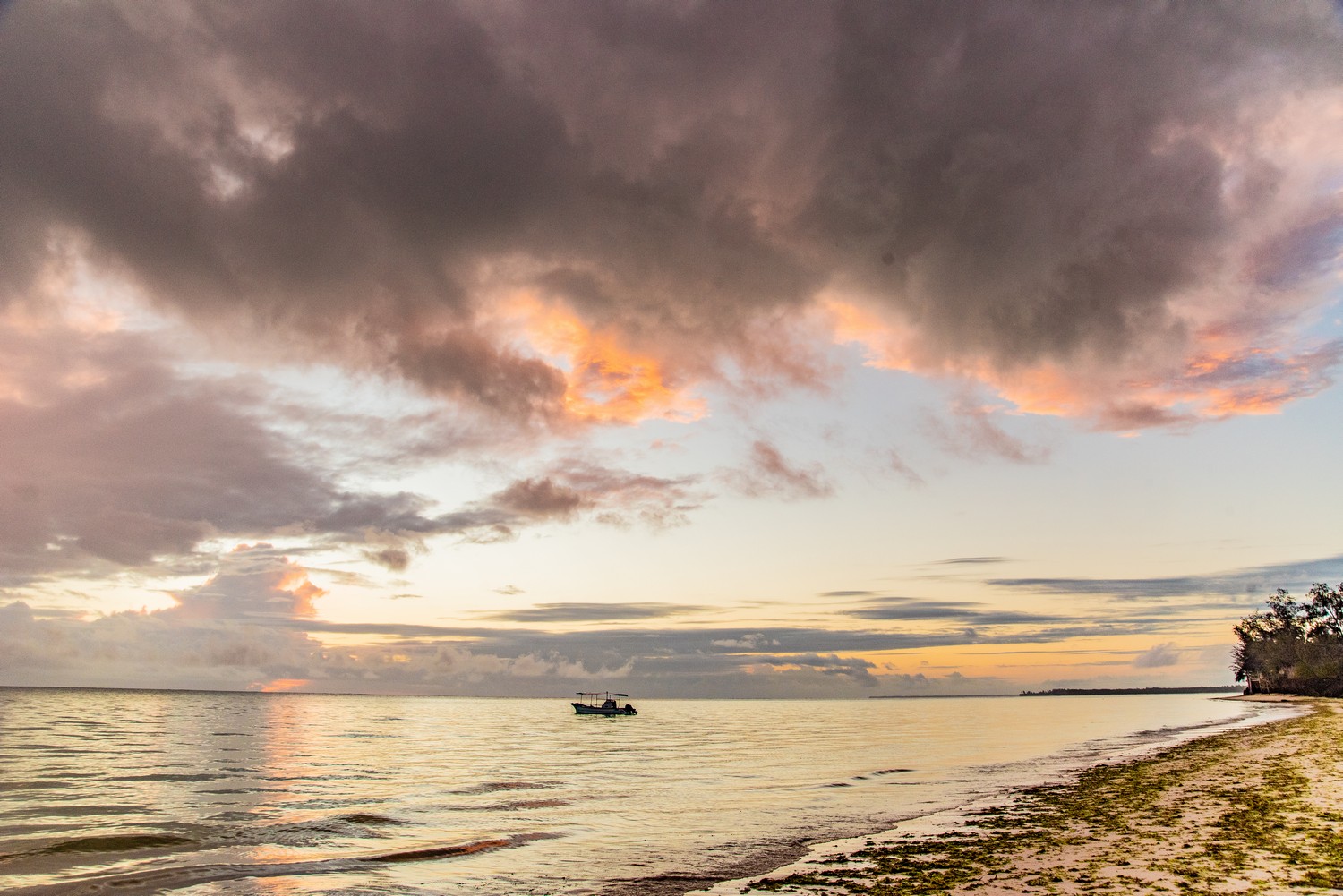 Pongwe Beach Hotel Zanzibar Hotel 150