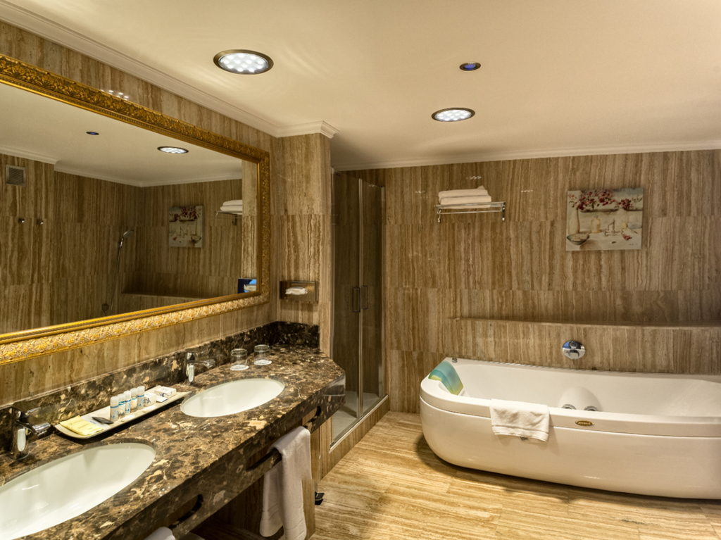 Deluxe Junior Suite (6)