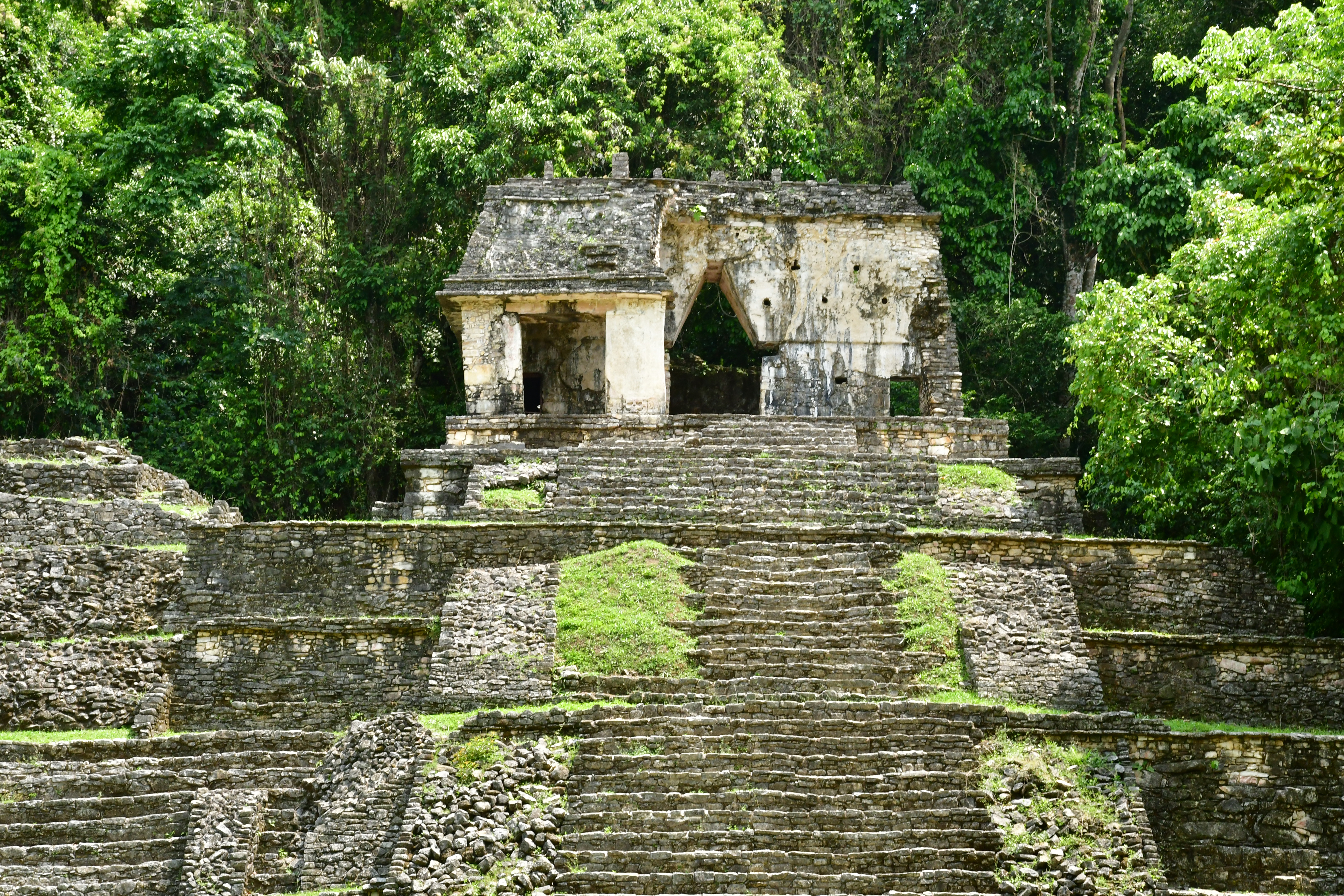 Shutterstock 1125065072