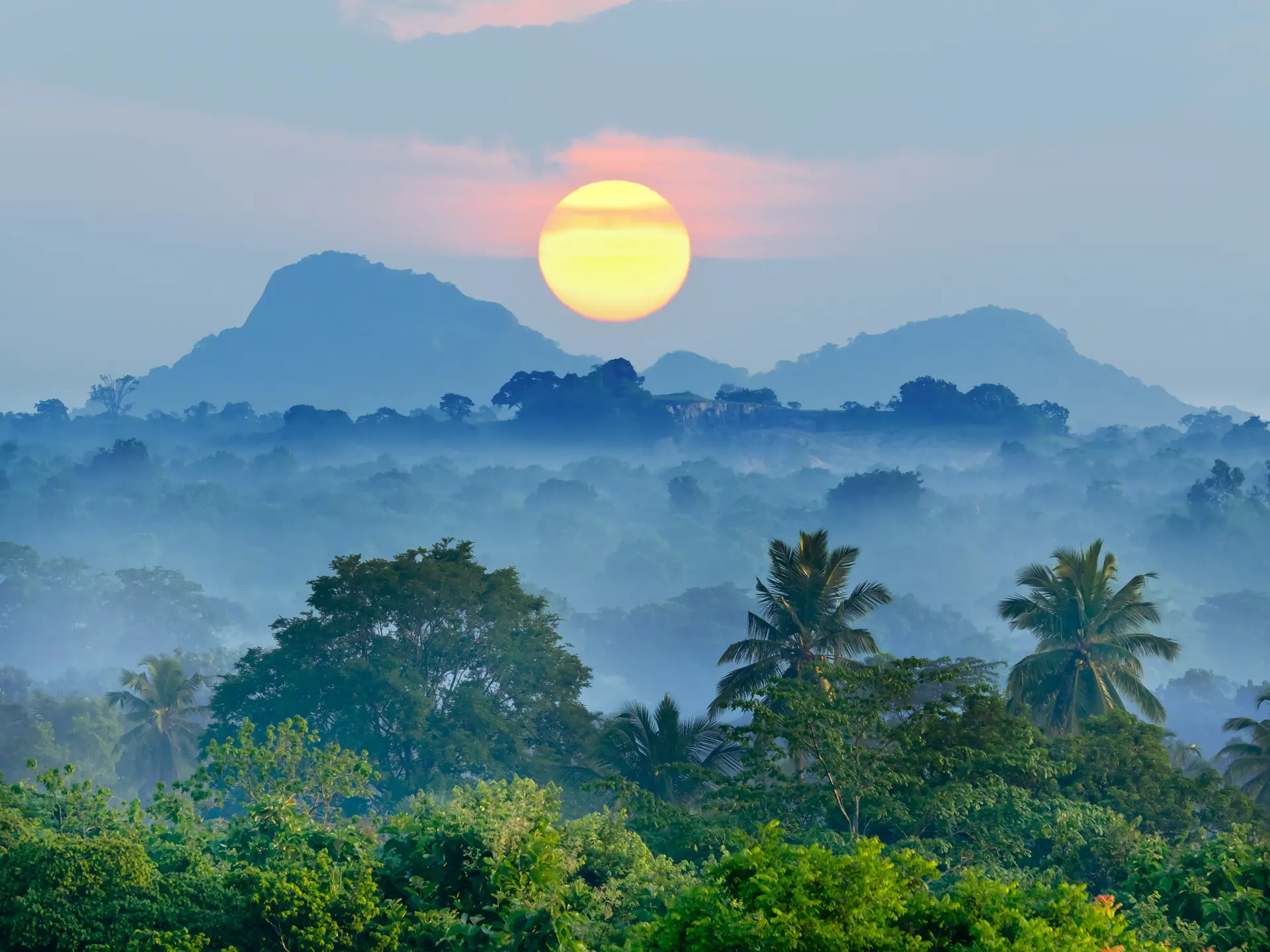 Sunrise In The Jungles Of Sri Lanka