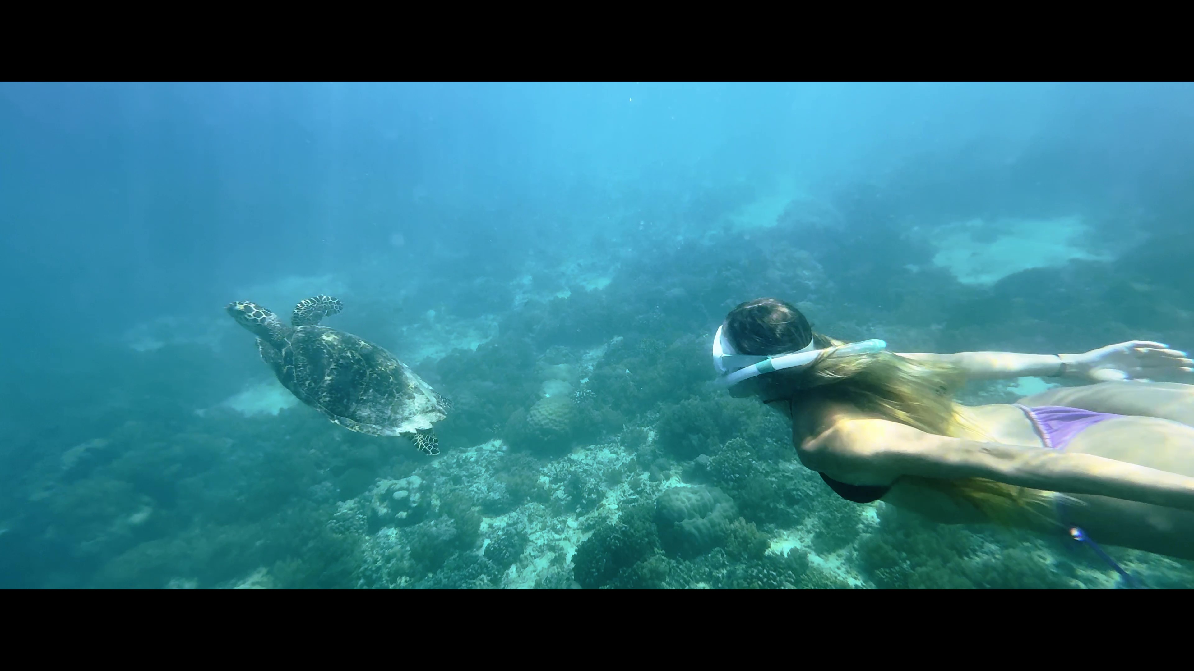 Film Qunci 4K Frame At 0M34s