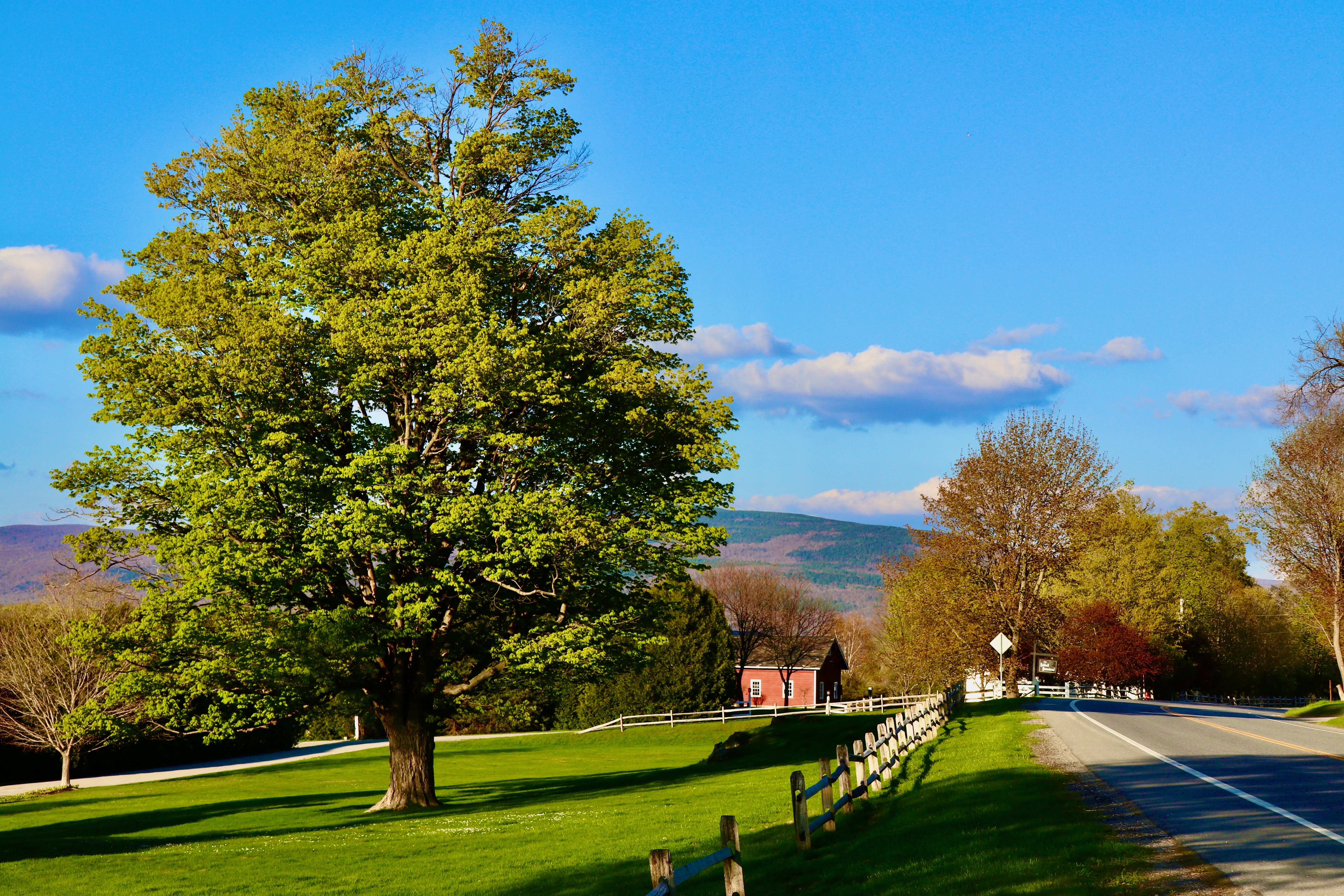 Shutterstock 2295419055 Springtime Scene In Bennington Vermont