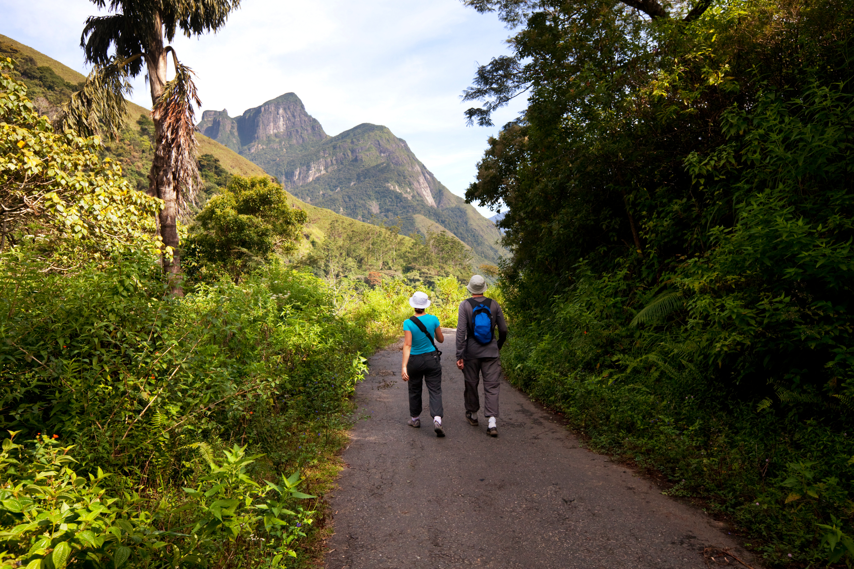 Hiking På Sri Lanka 126203387
