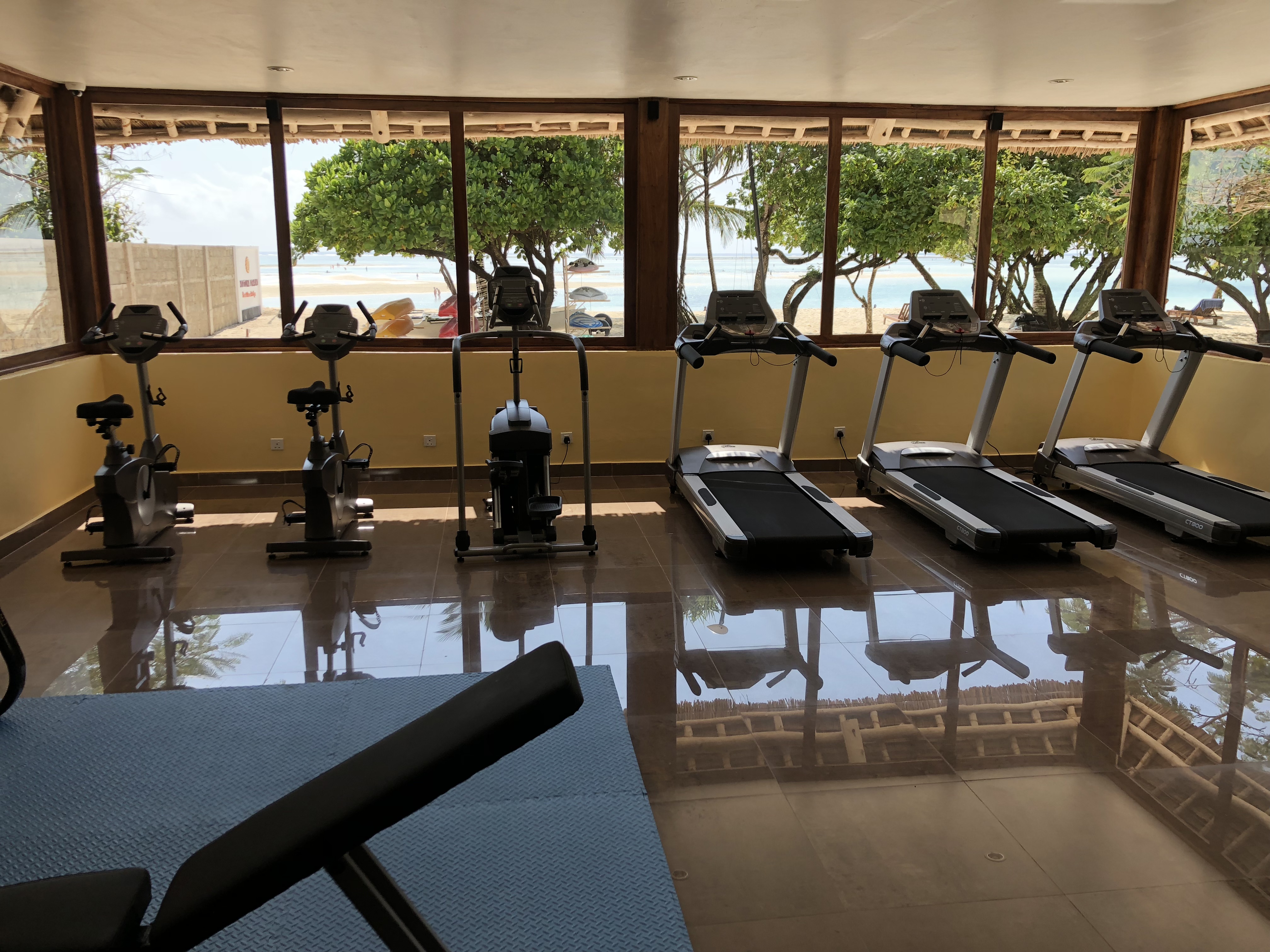 Neptune Pwani Gym Treadmills
