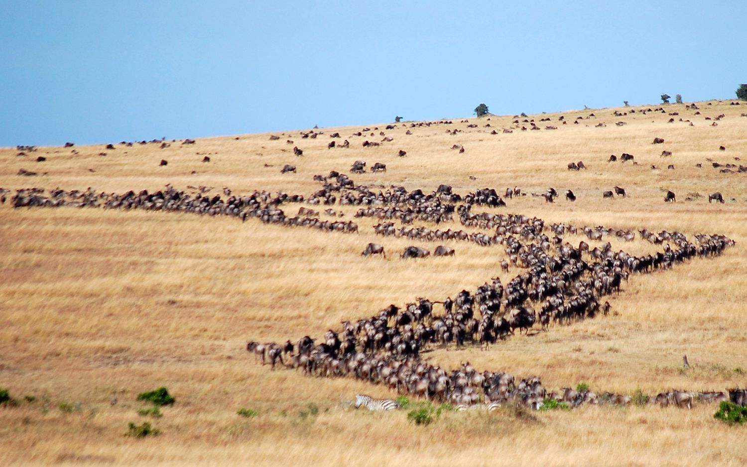 Migration 7