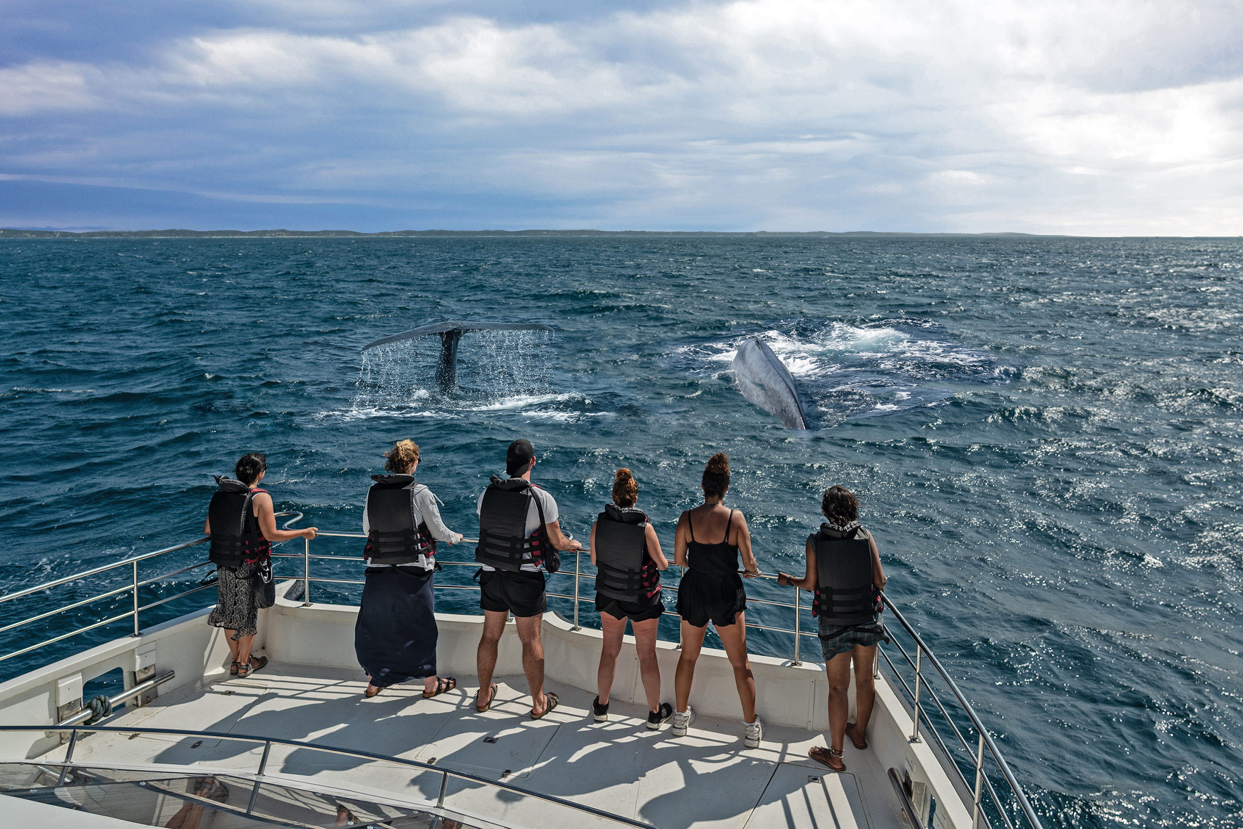 Shutterstock 1654805647 Tourists In Life Vests On The Boat Watching Whales, Sri Lanka, Mirissa