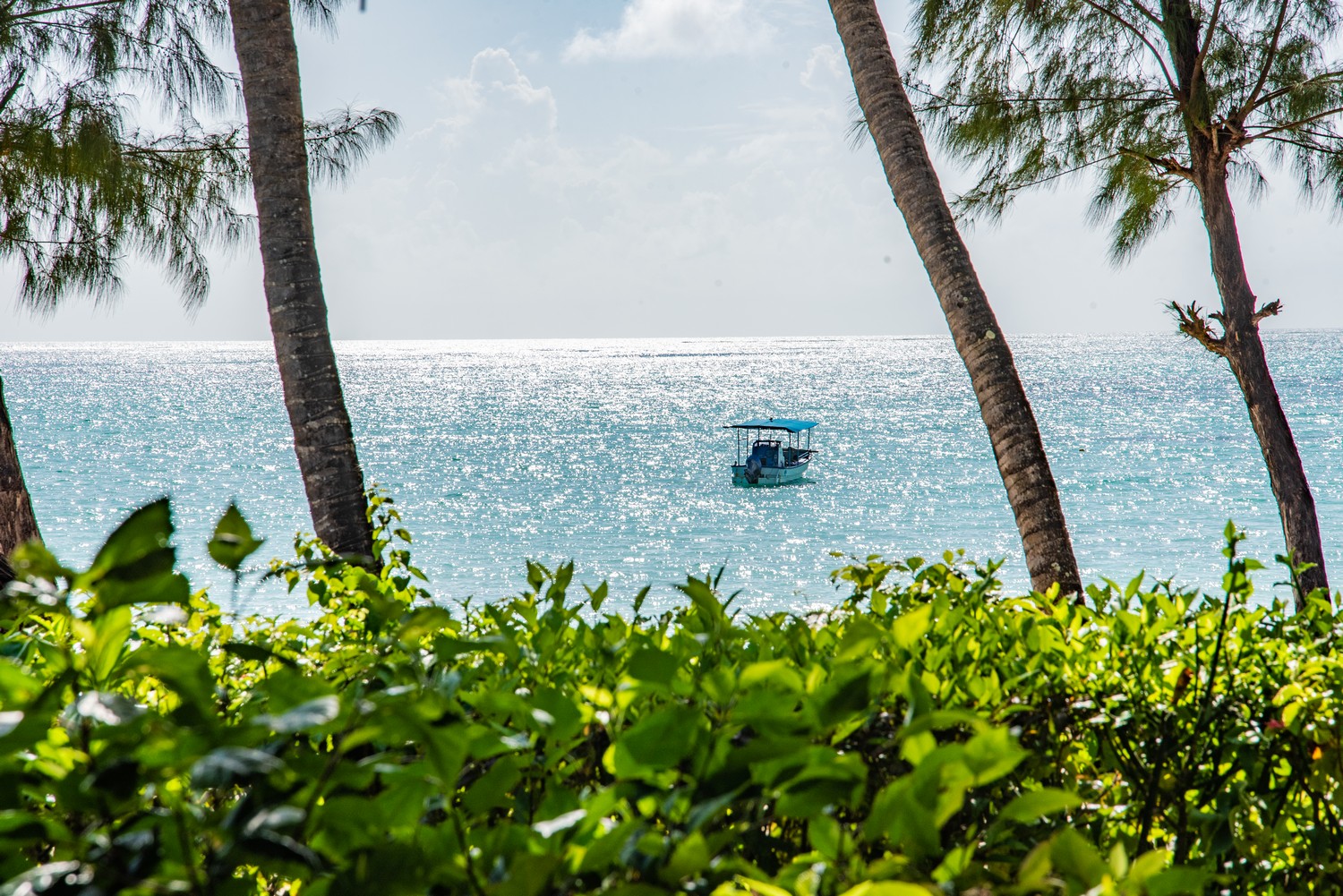 Pongwe Beach Hotel Zanzibar Hotel 40