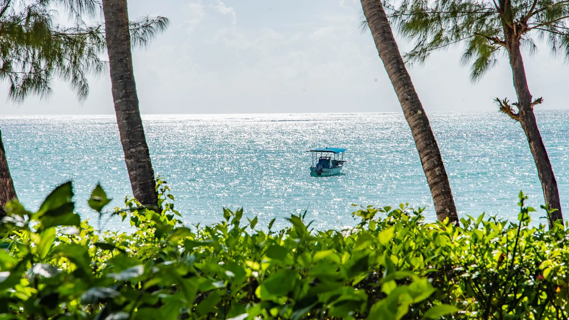 Pongwe Beach Hotel Zanzibar Hotel 40