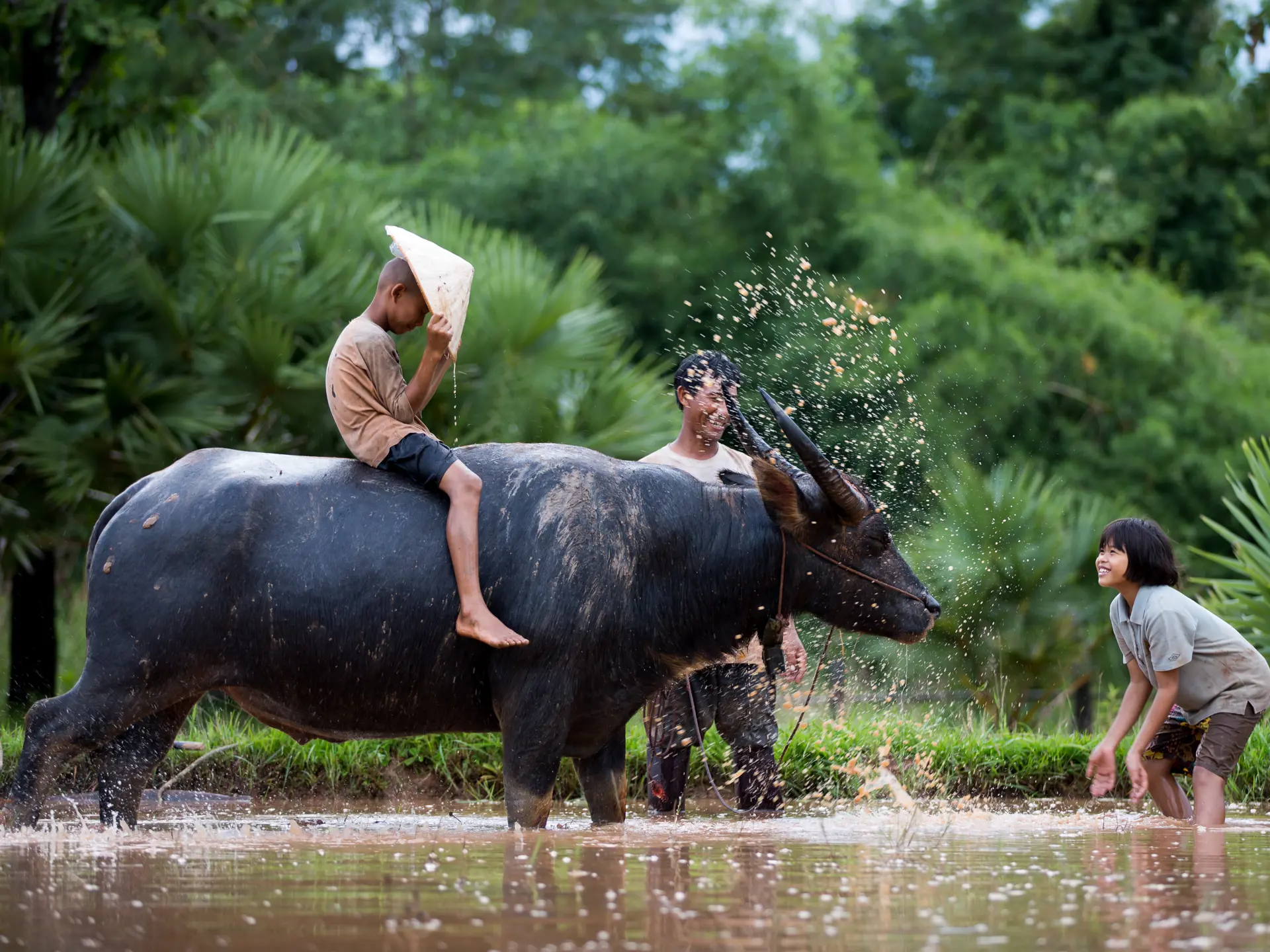 Adobestock 120301951