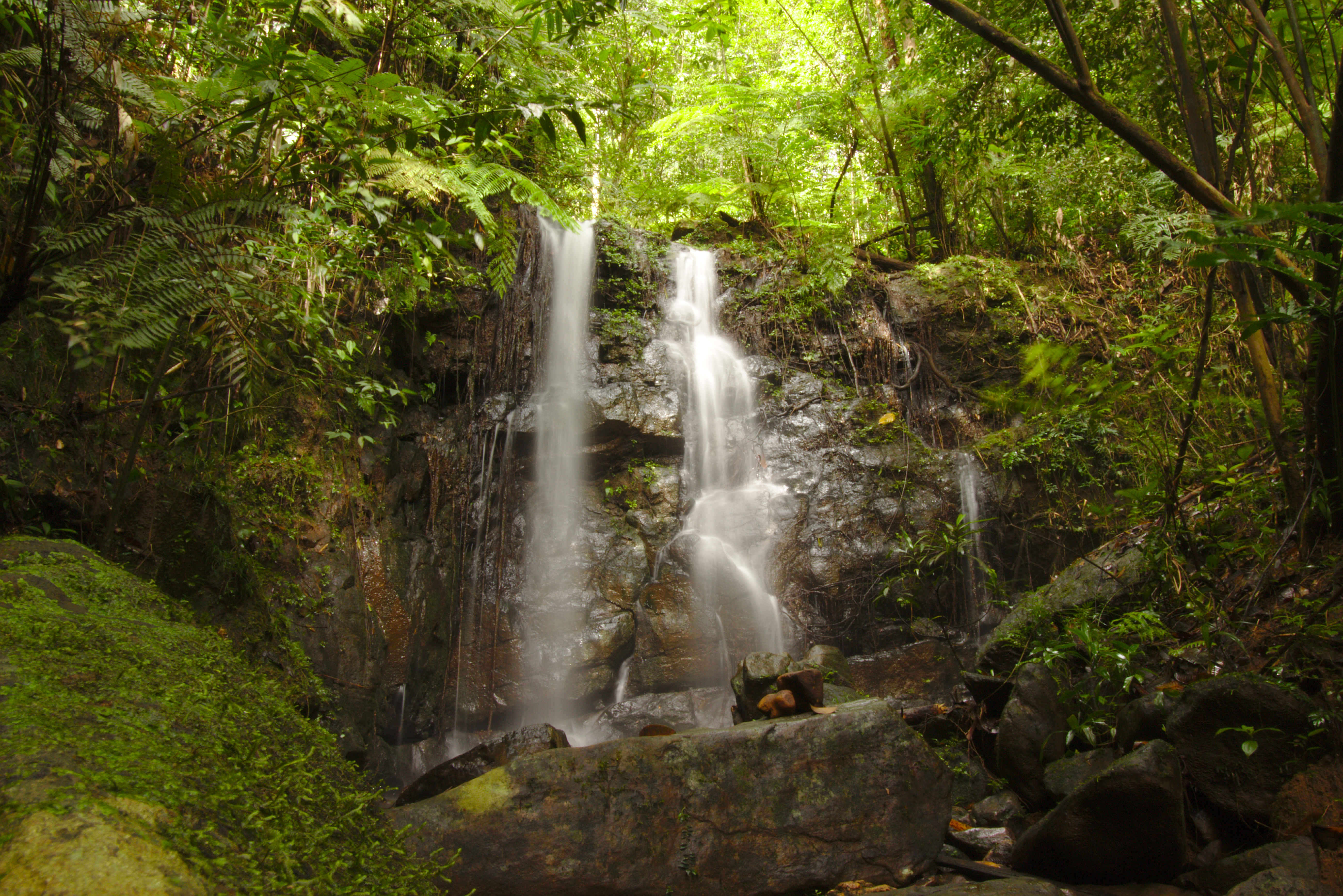 Shutterstock 1017293854 (Beautiful Waterfall In Sinharaja Forest Reserve, A National Park And A Biodiversity Hotspot In Sri Lanka)