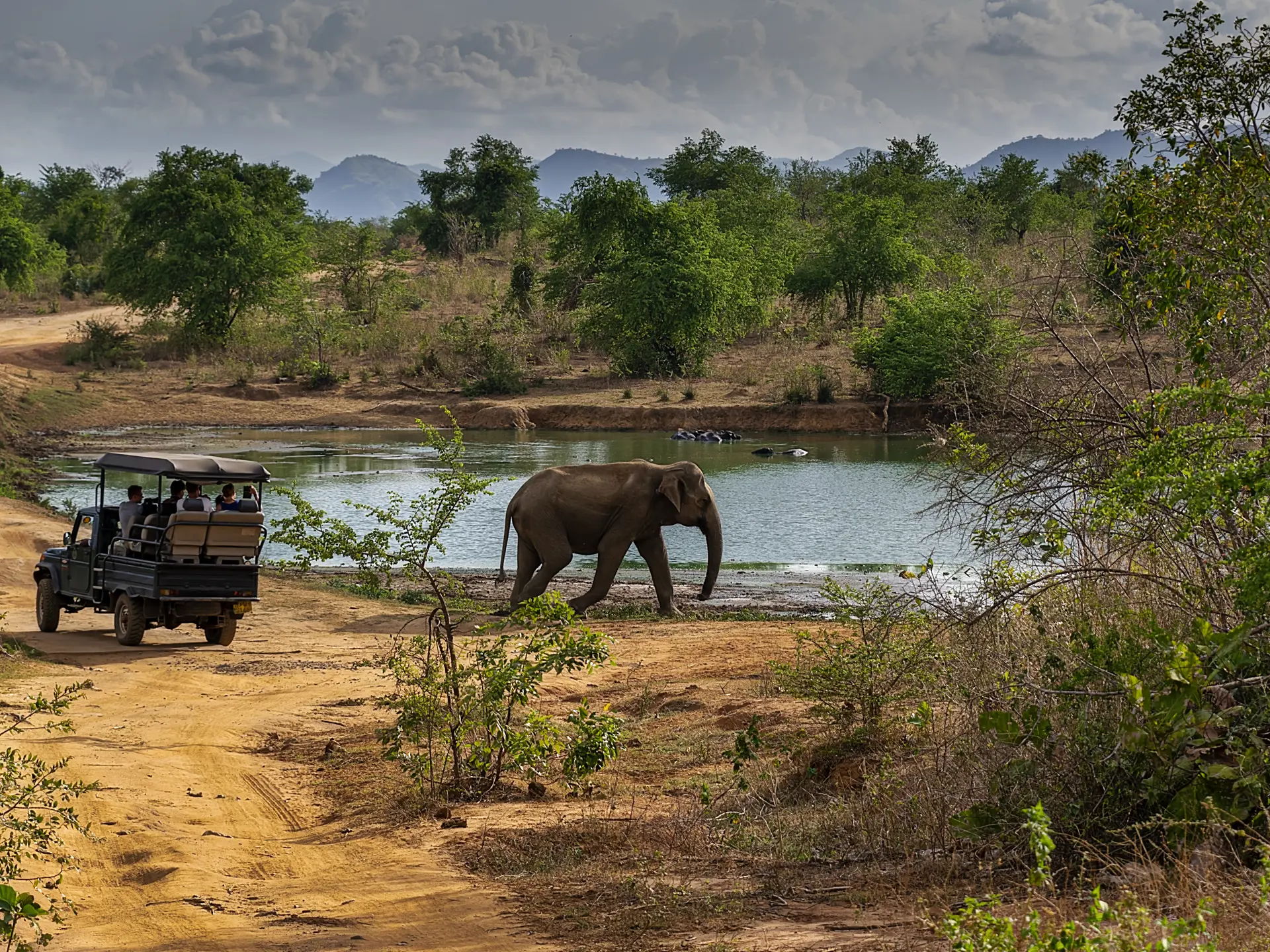 Adobestock 323286348