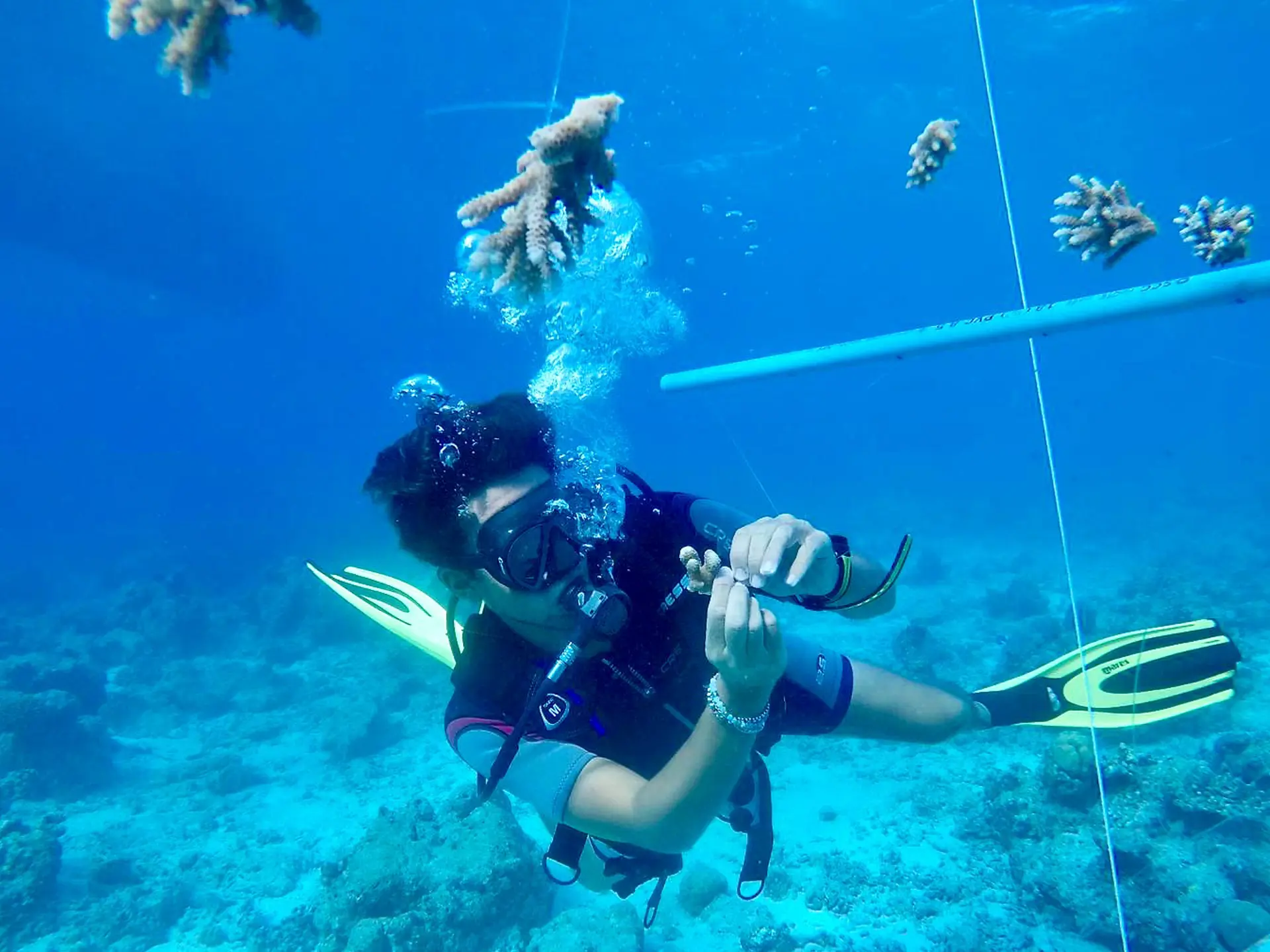 5681De34 81A1 4F2f 9B2f Fe353788dc58 1