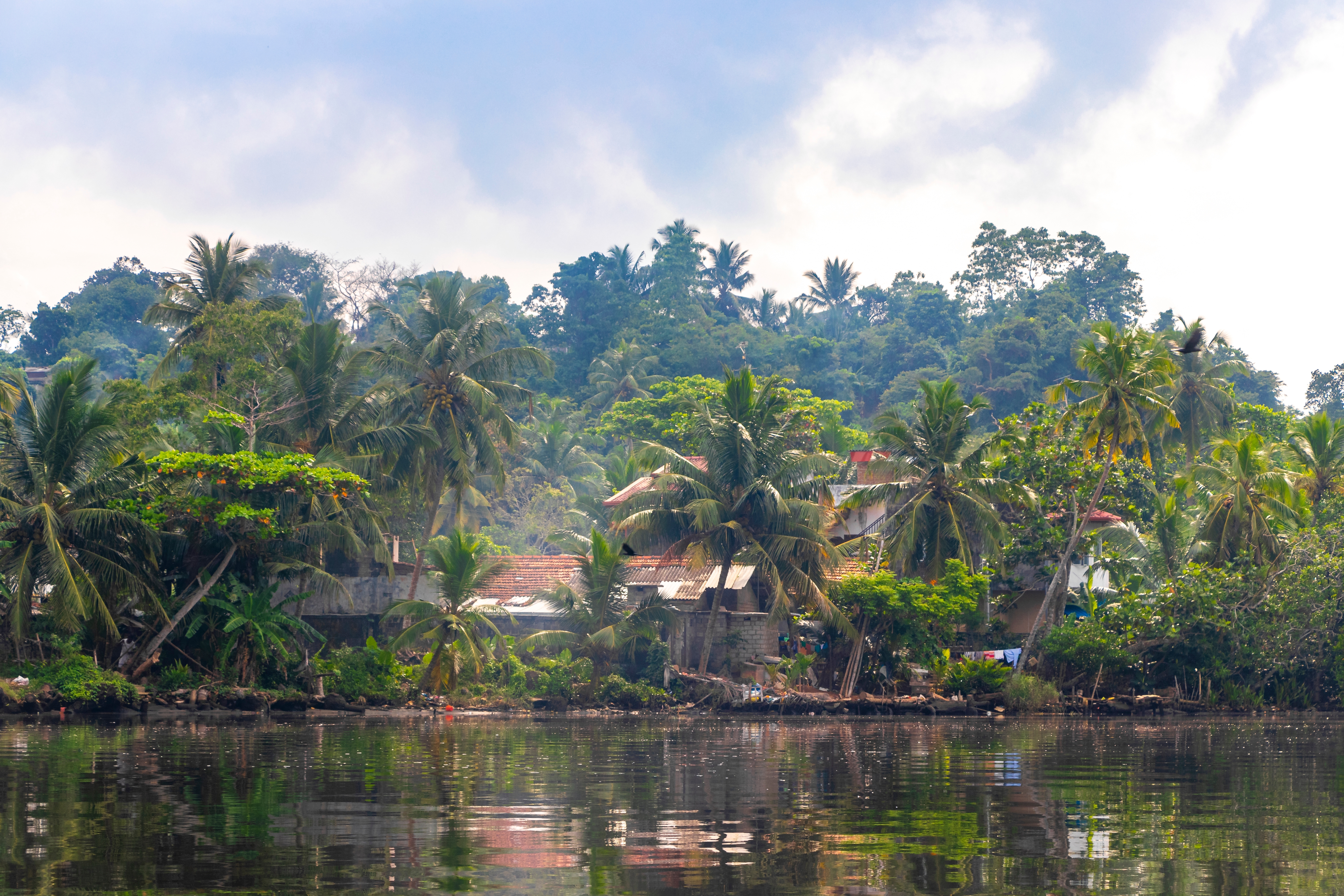 Shutterstock 2459300047