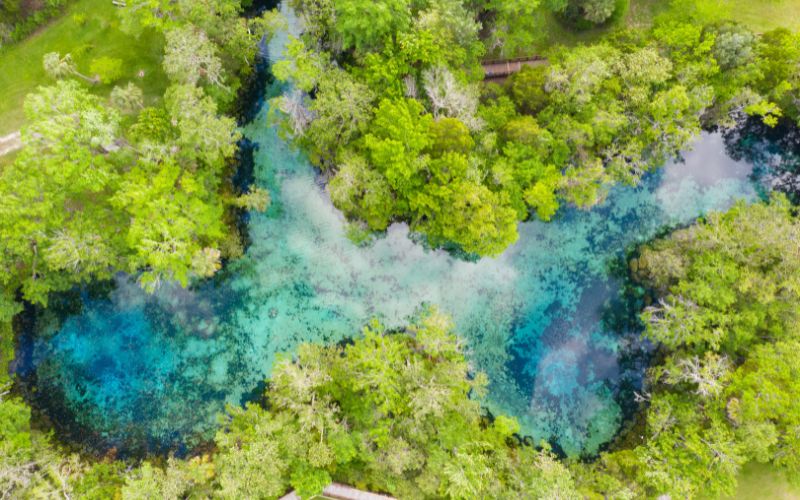 Three Sisters Springs Crystal River Florida