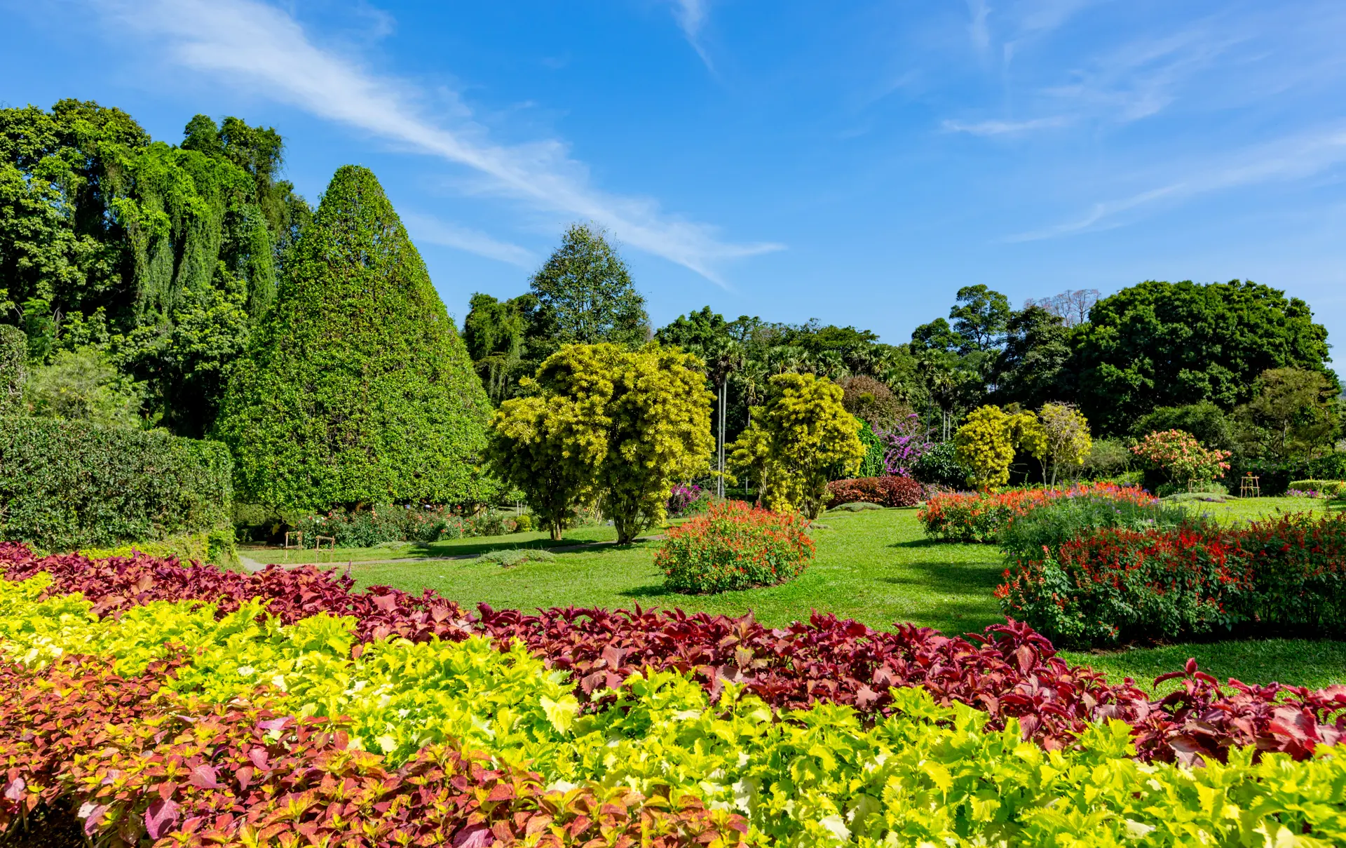 Shutterstock 508065223
