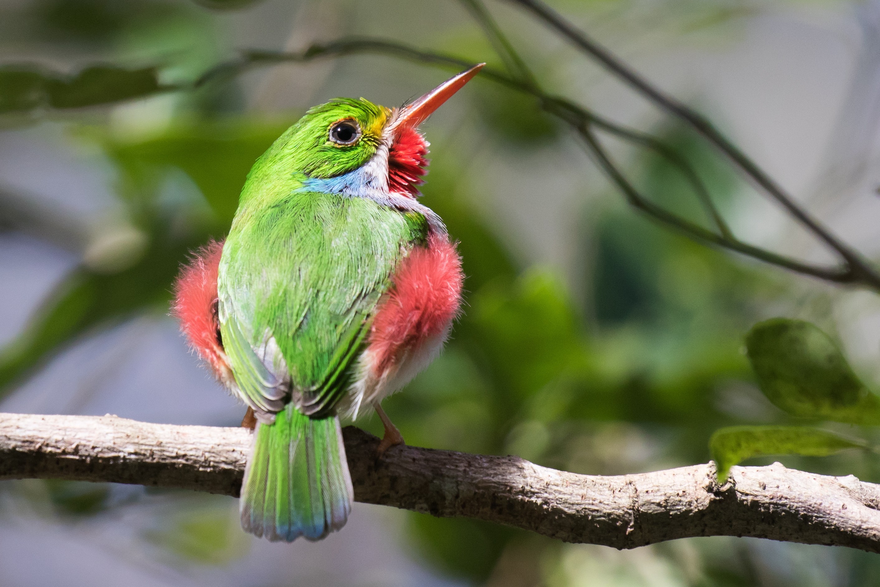 Shutterstock 1055990756