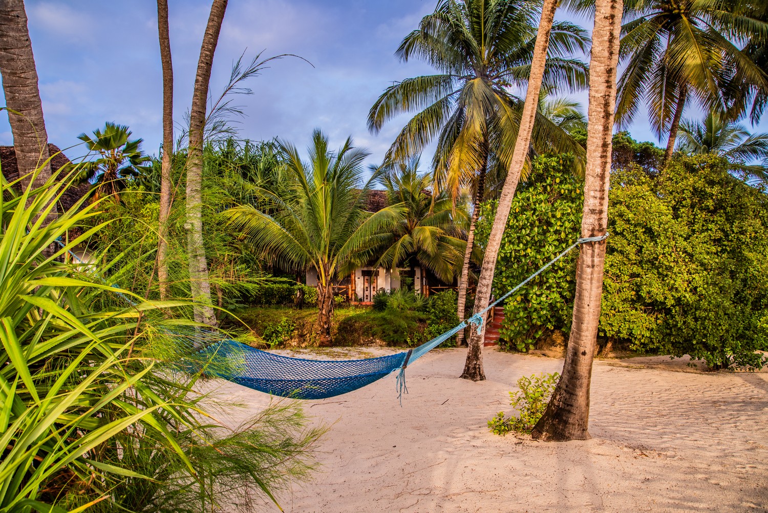 Pongwe Beach Hotel Zanzibar Hotel 2