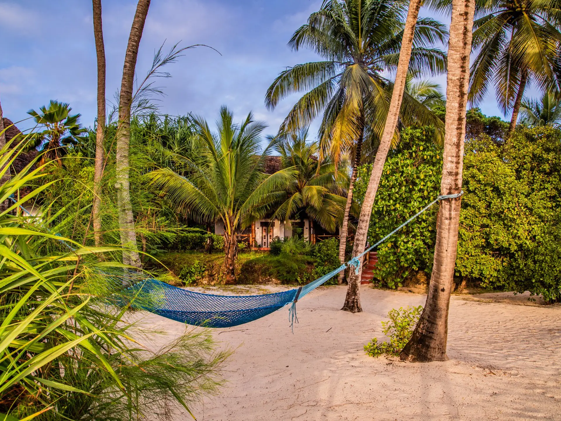 Pongwe Beach Hotel Zanzibar Hotel 2