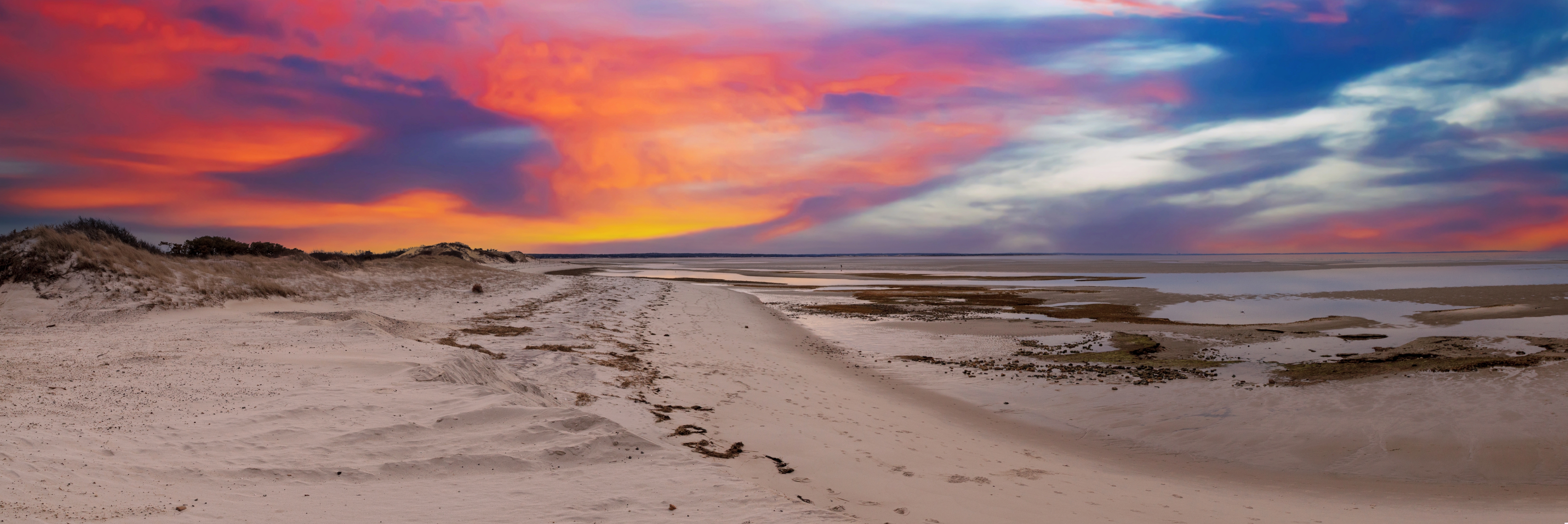 Shutterstock 2282067469