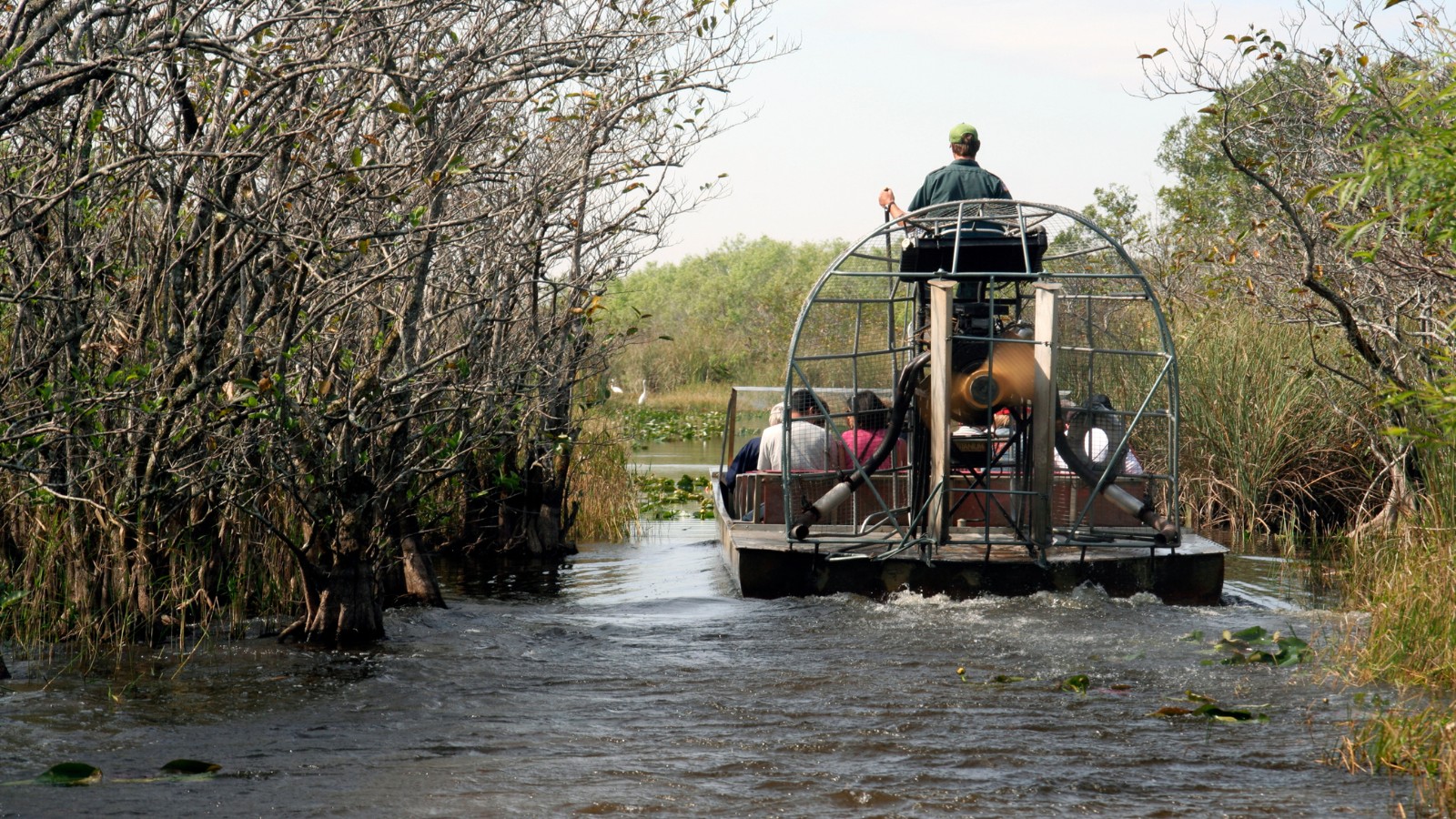 Airboat I Everglades Nationalpark Park I Florida Usa (1)