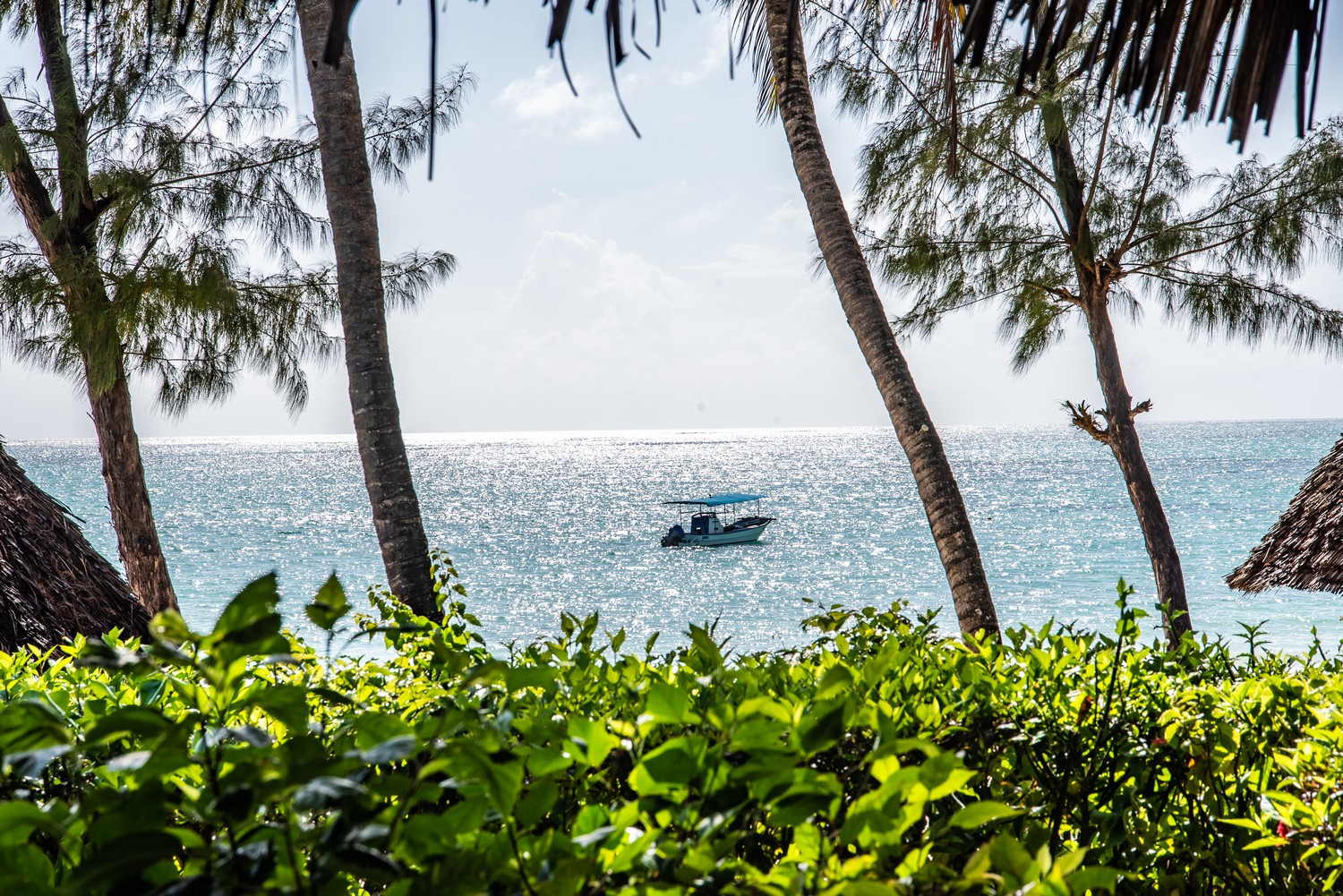 Pongwe Beach Hotel Zanzibar Hotel 39