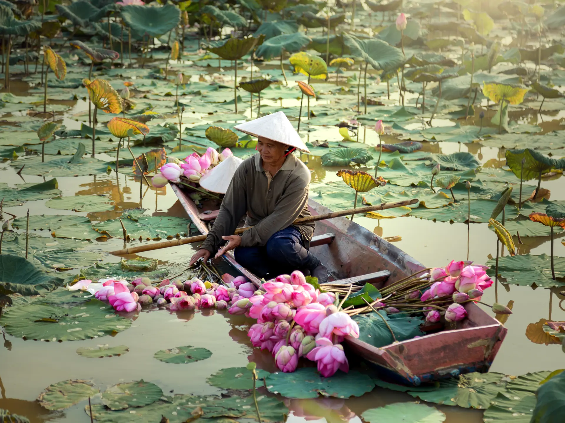 Adobestock 167017041