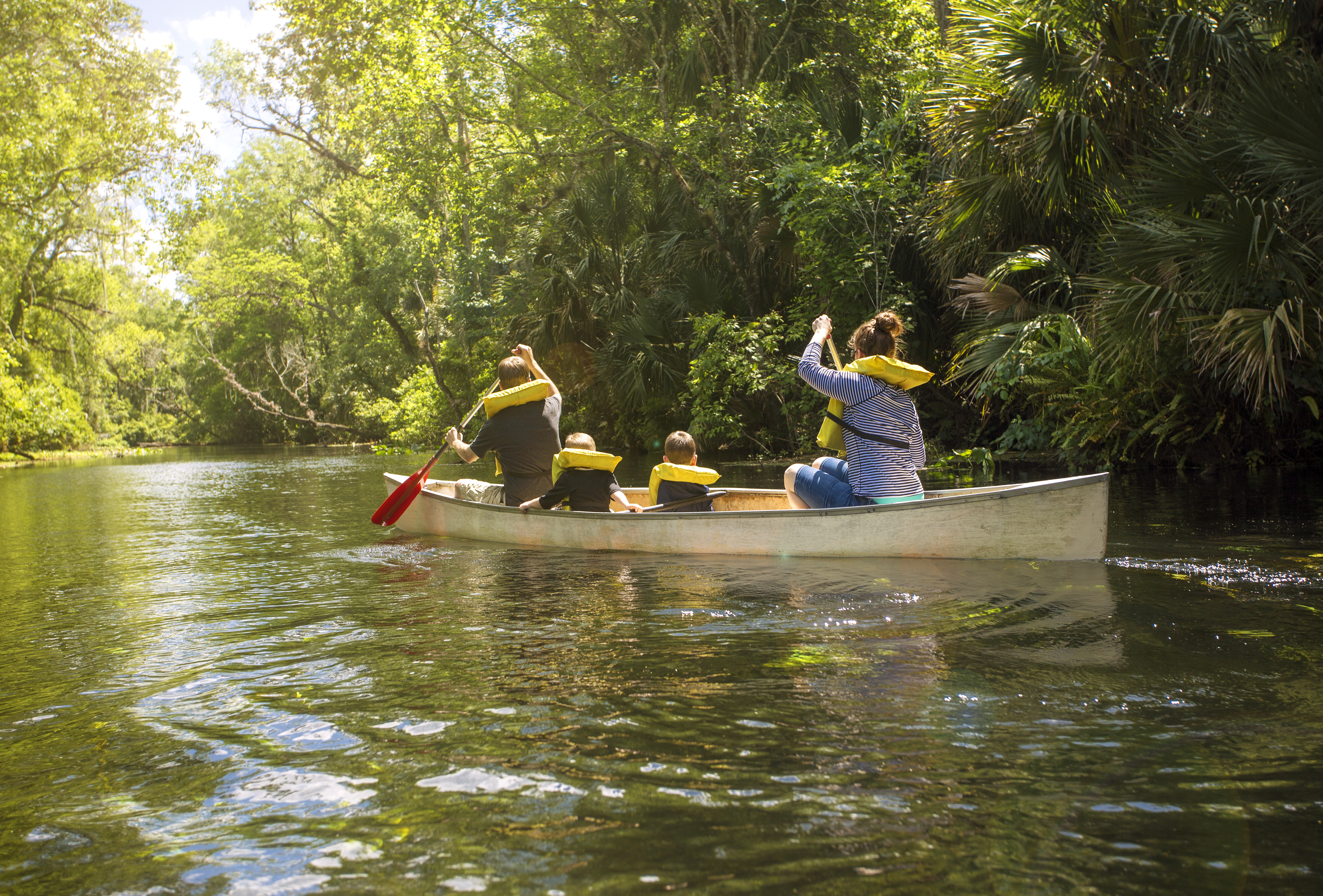Family Canoeing