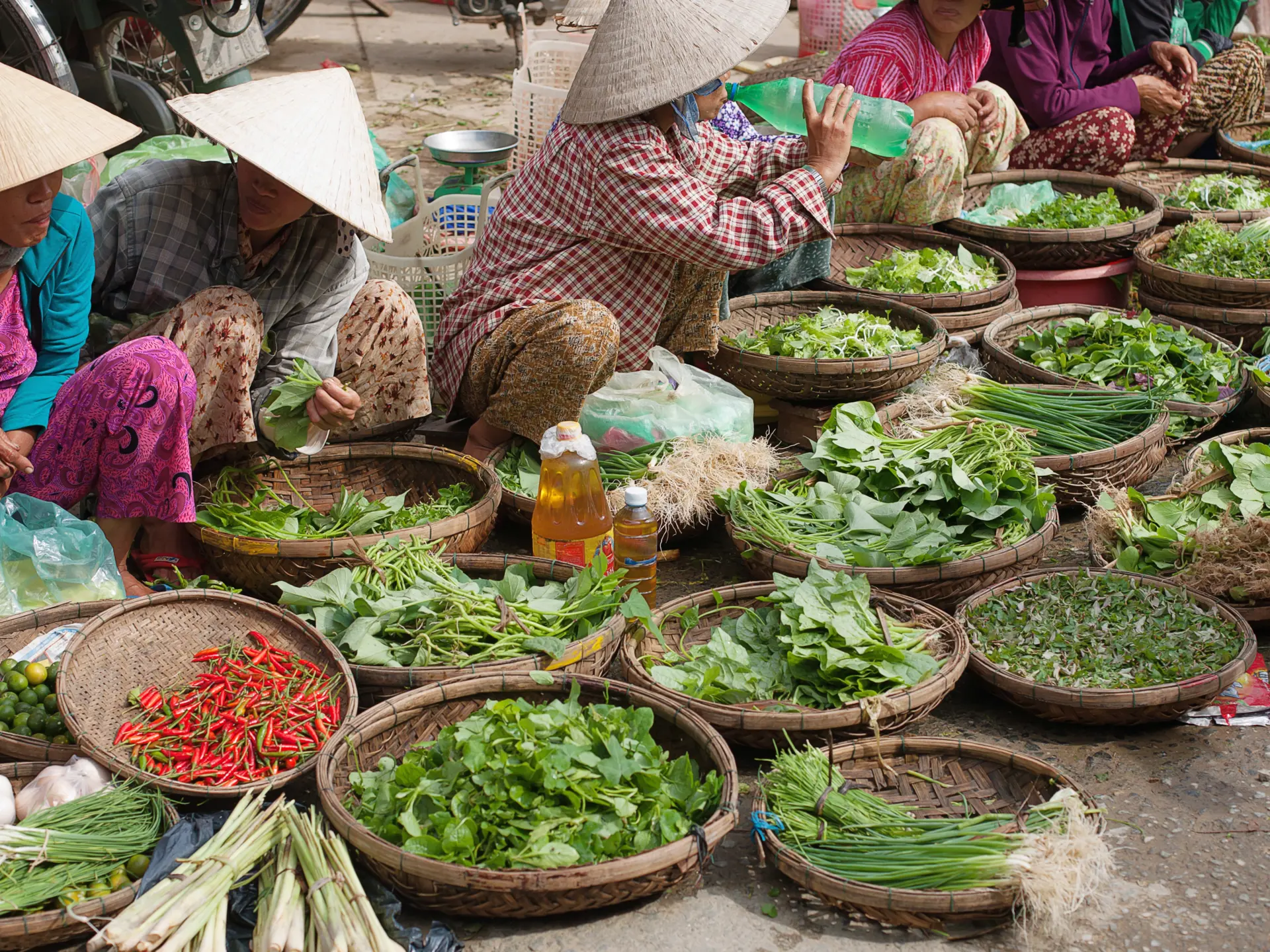 Shutterstock 89737600