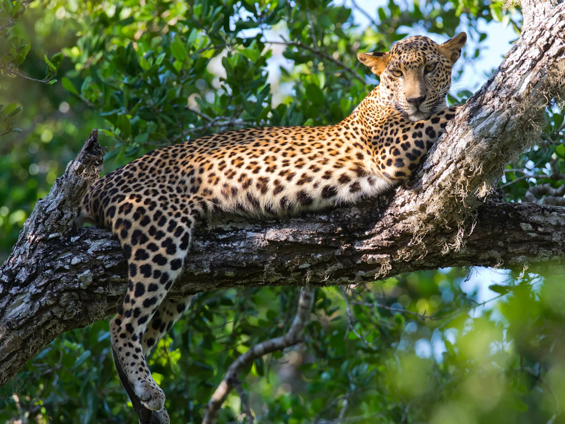 Shutterstock 336636632