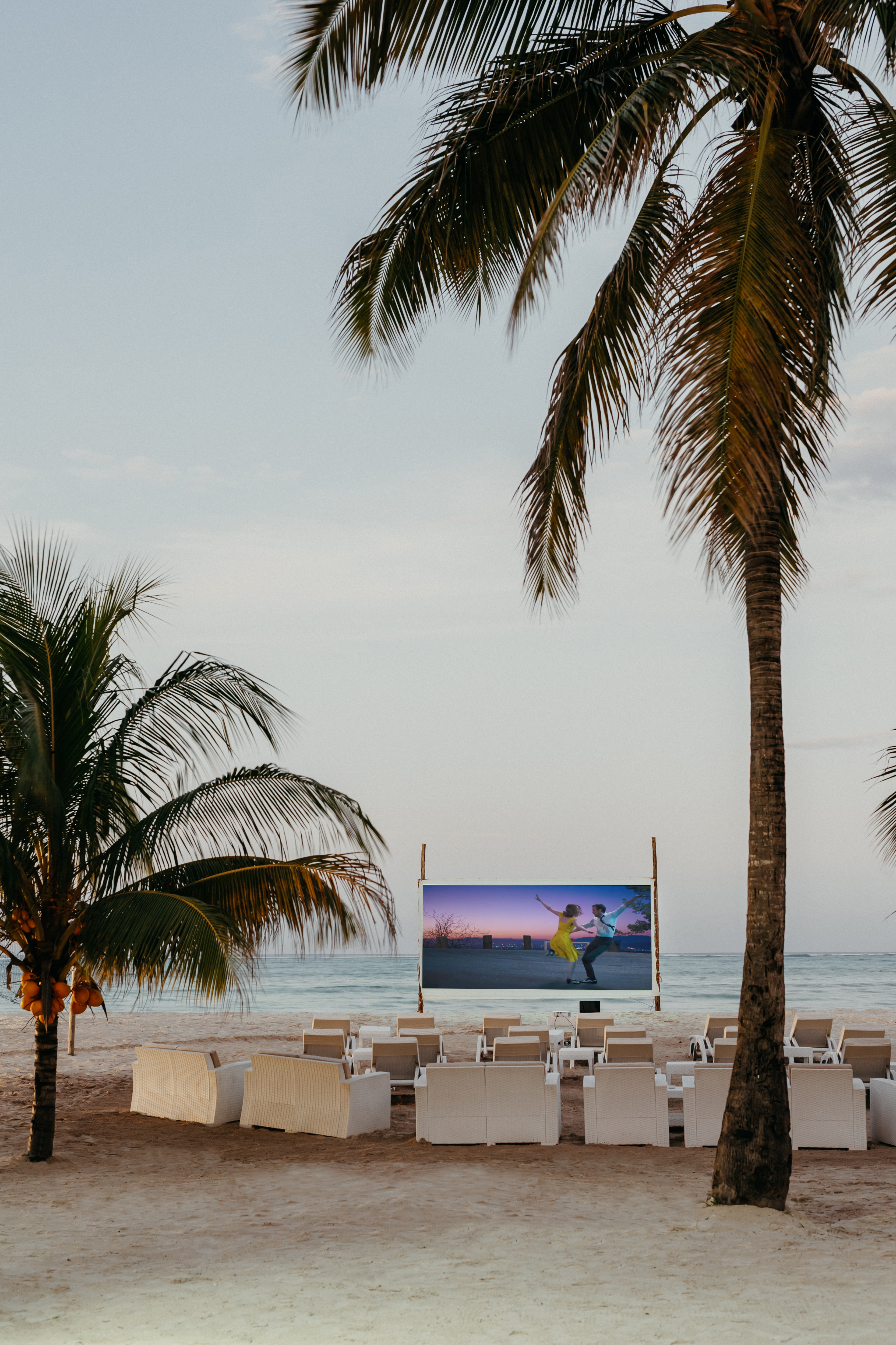 11875 Luxmar 609 Edt 3330X4995