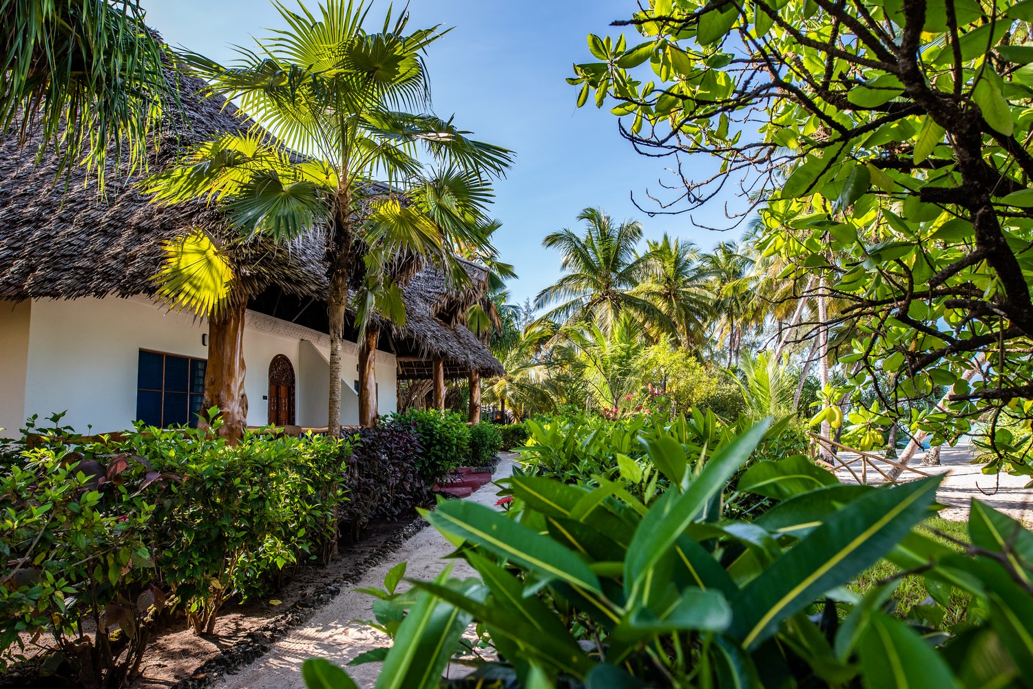 Pongwe Beach Hotel Zanzibar Hotel 96