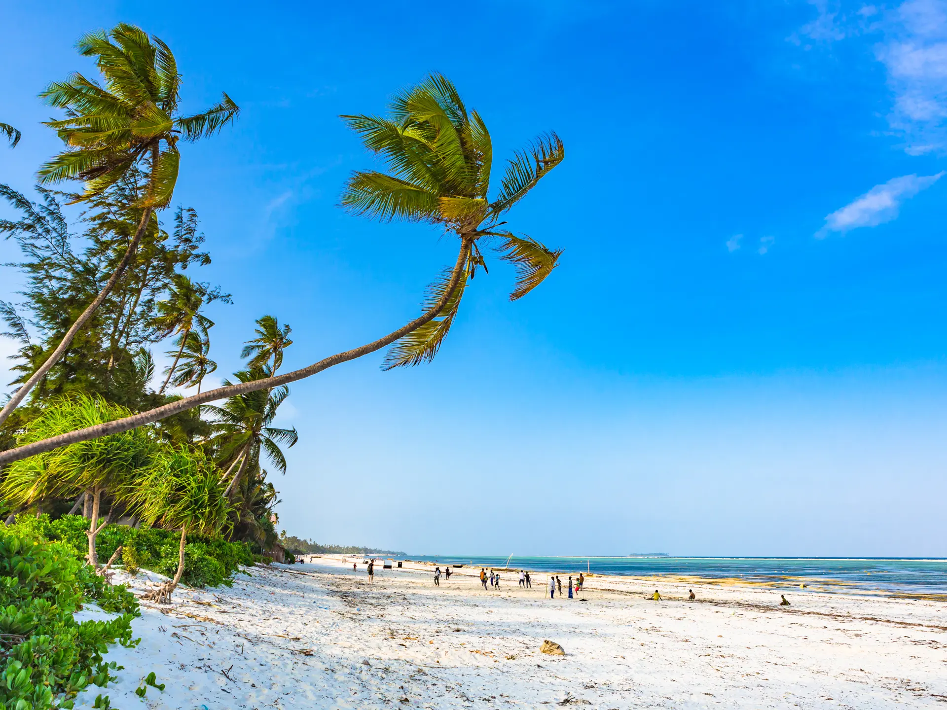 Matemwe Beach, Zanzibar. Tanzania. Billede