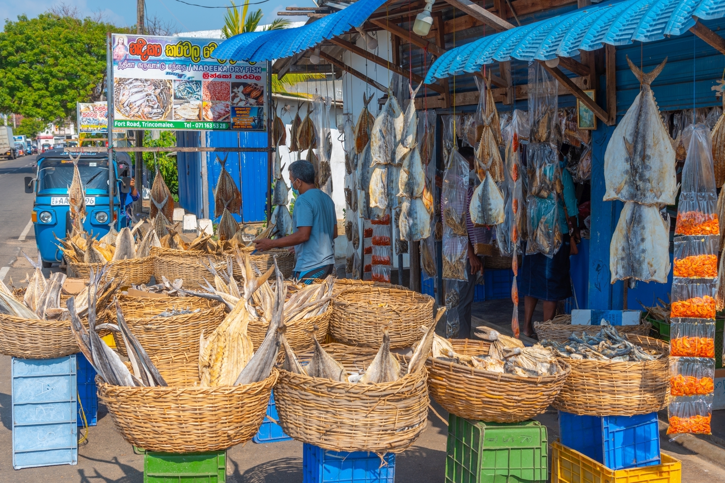 Shutterstock 2349312733 Trincomalee, Sri Lanka, February 6, 2022 Fish Market At Trincomalee Sri Lanka