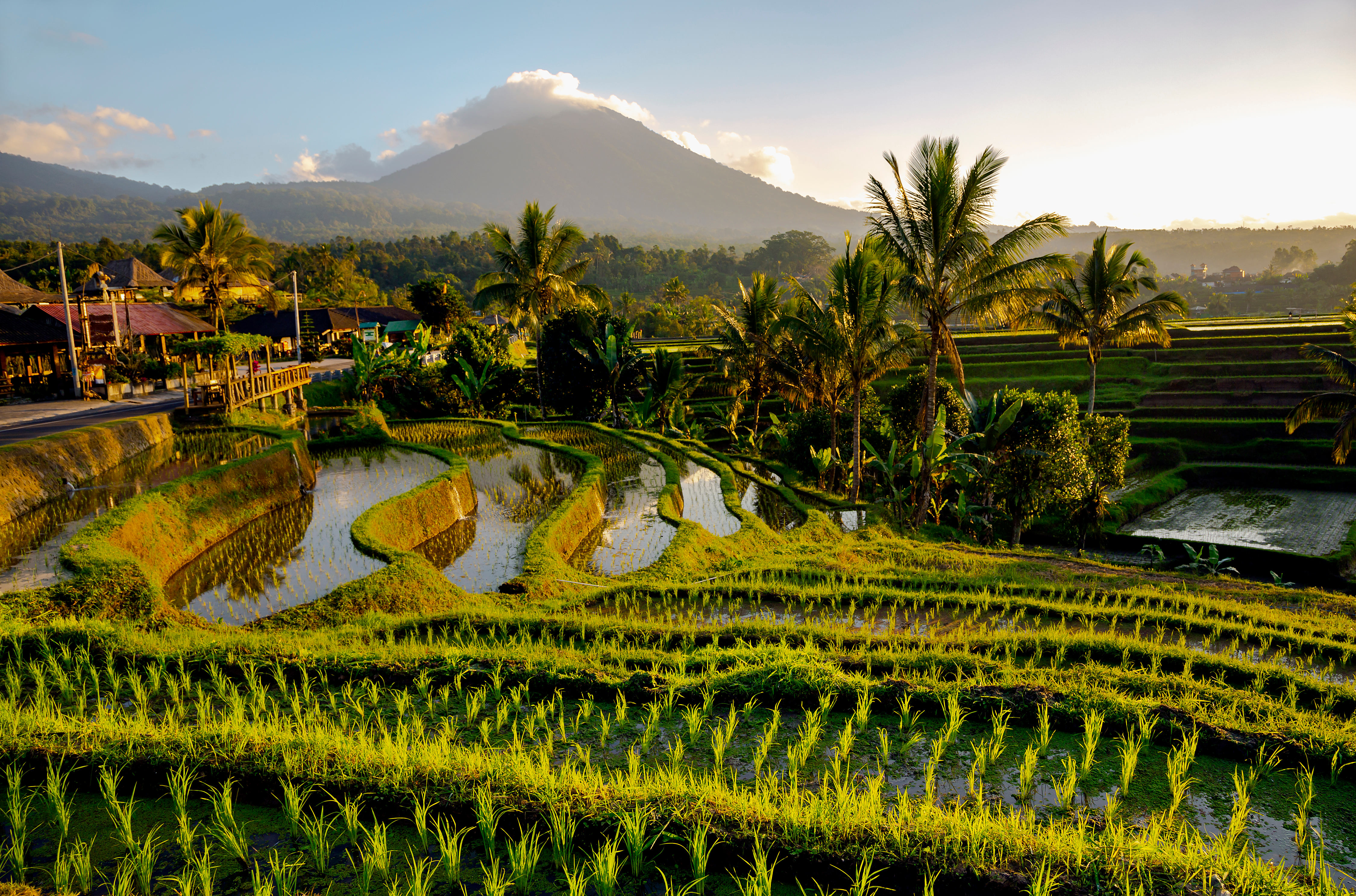 Shutterstock 1750334231 (Beautiful Sunrise Over The Jatiluwih Rice Terraces In Bali. Tabanan, Indonesia)