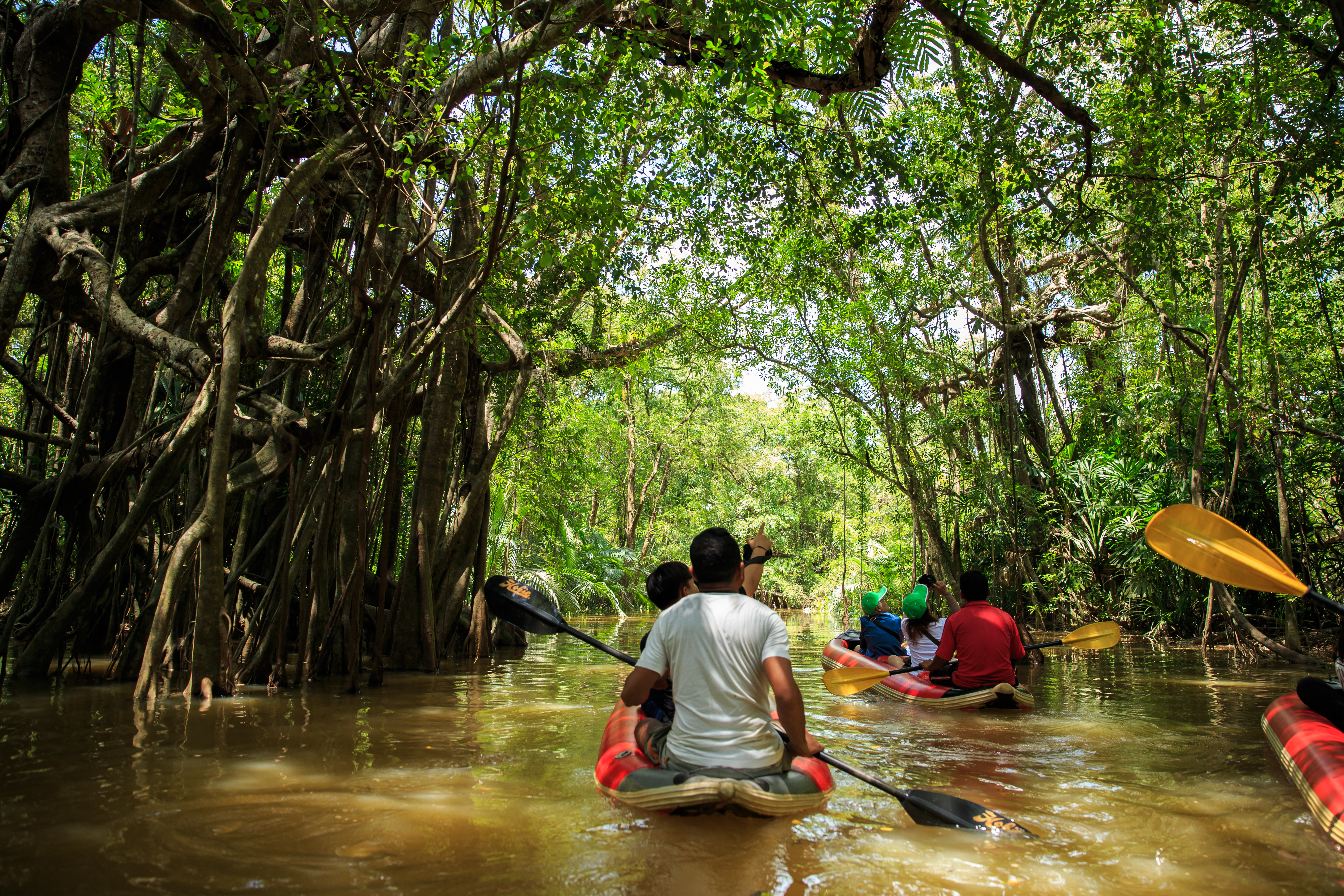 Little Amazon, Khao Lak, Thailand 