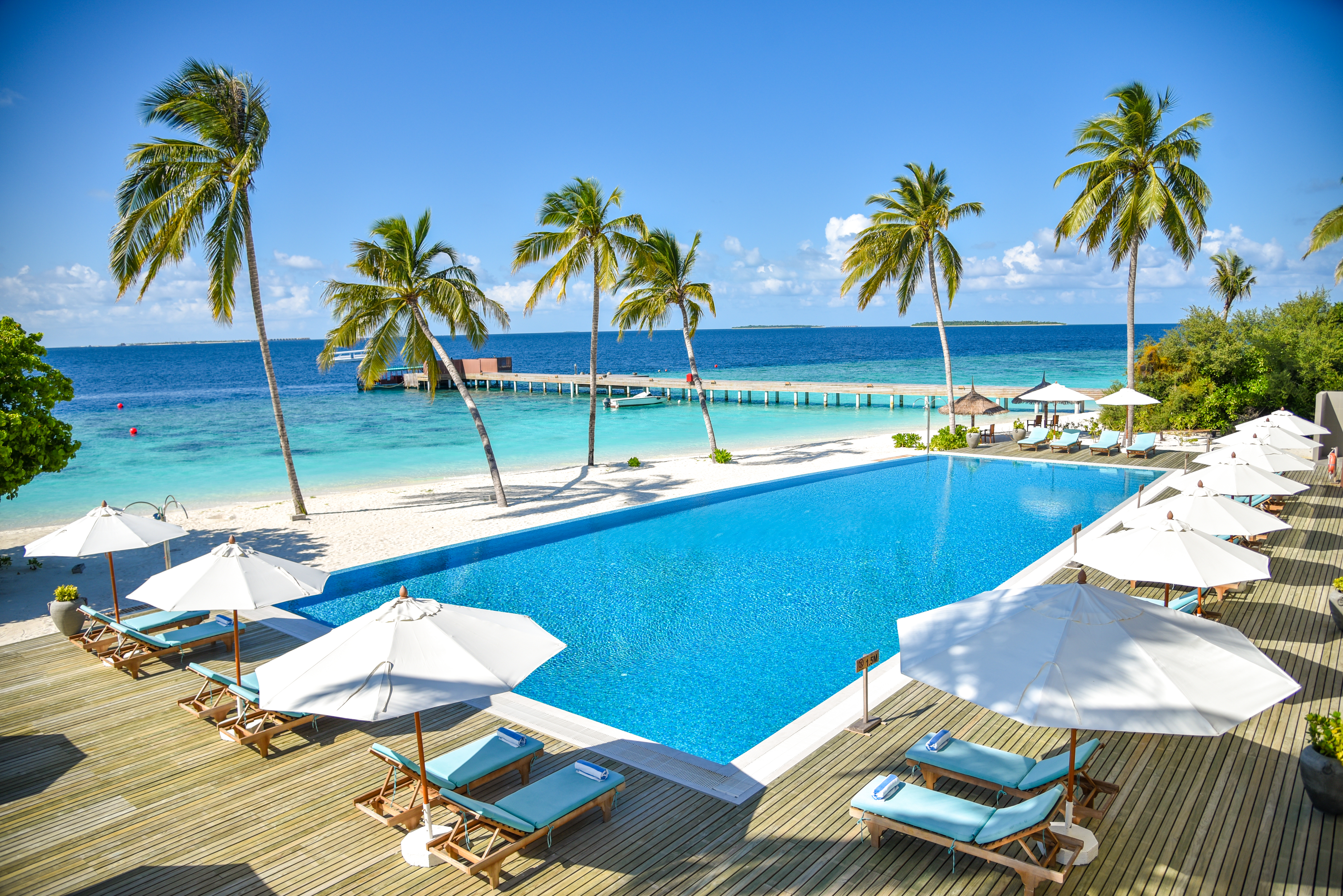 Reethi Faru Resort Pool(10)