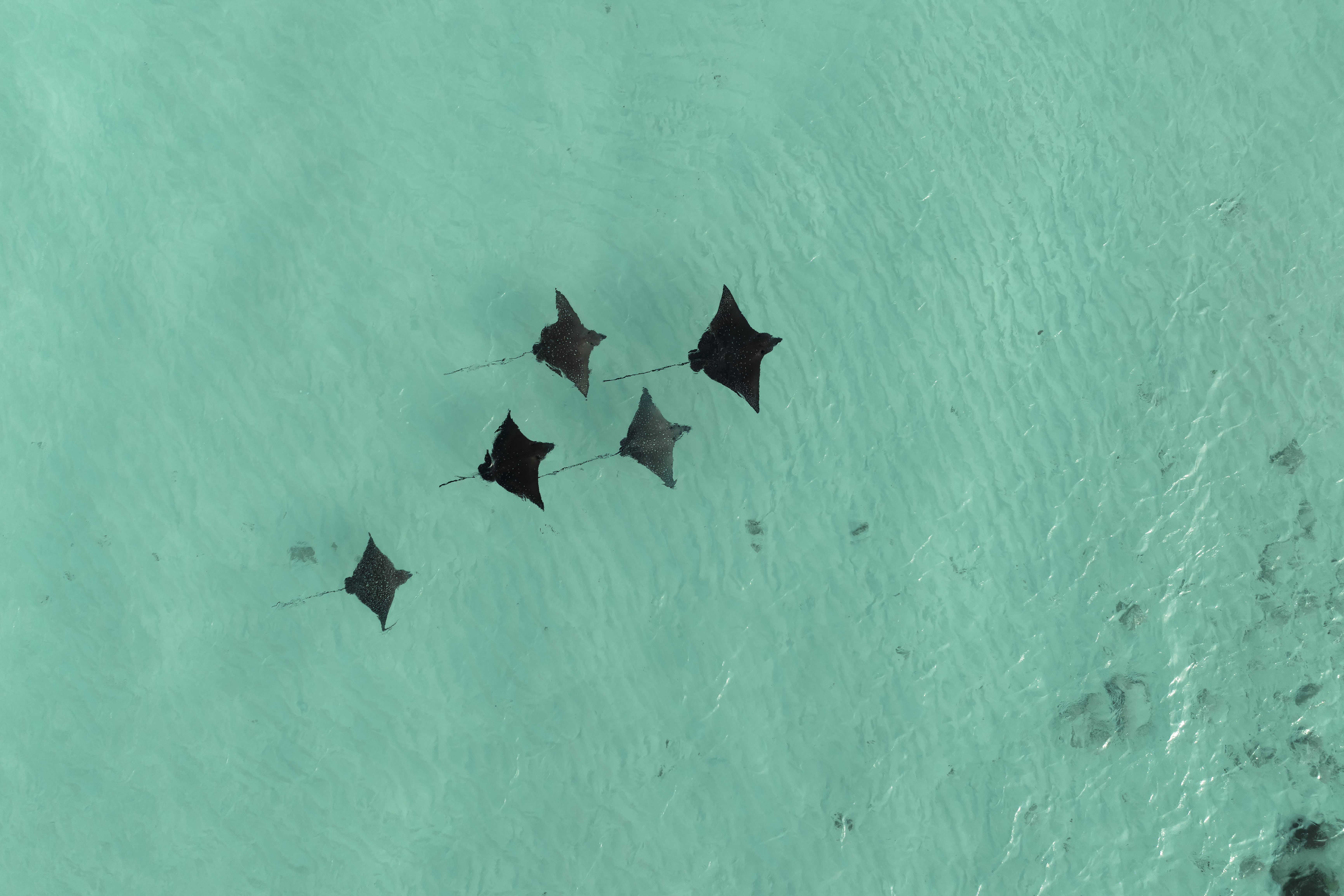 Constance Moofushi Hotel Exterior And Aerial Views Aerial Views 22