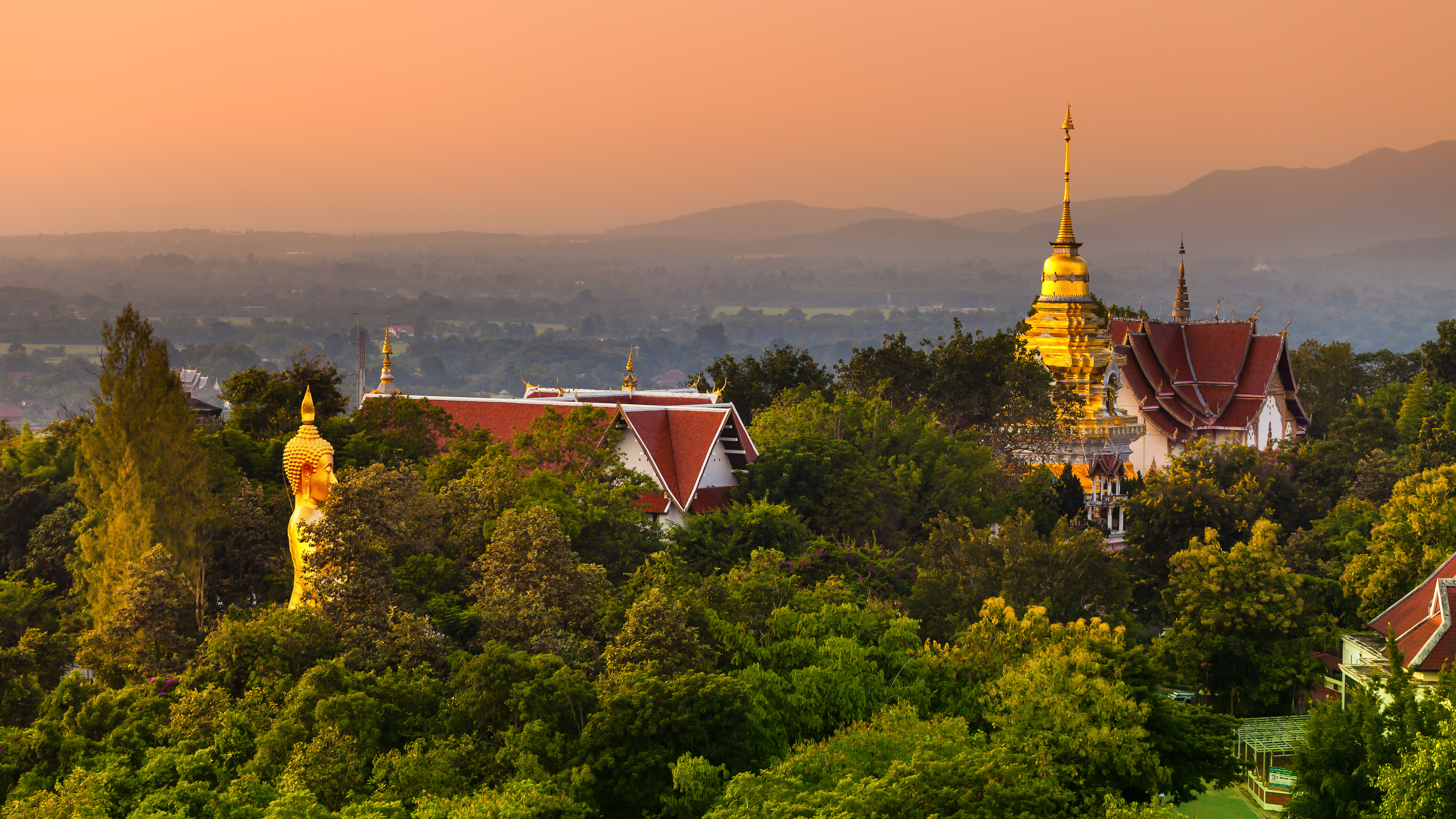 Shutterstock 493769560