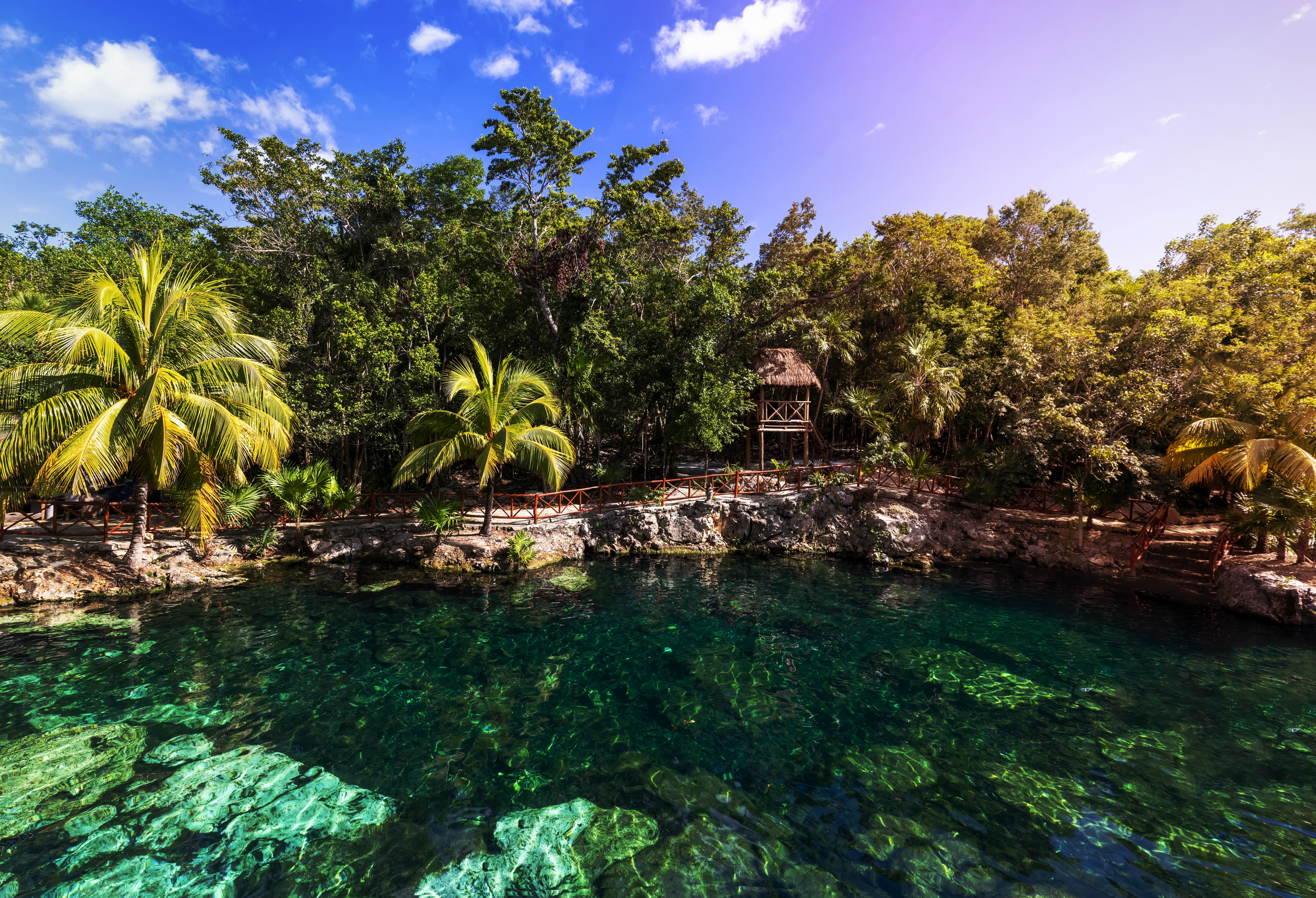 Shutterstock 2230894051 Mexico Tourism Destination, Cenote Casa Tortuga Near Tulum And Playa Del Carmen.