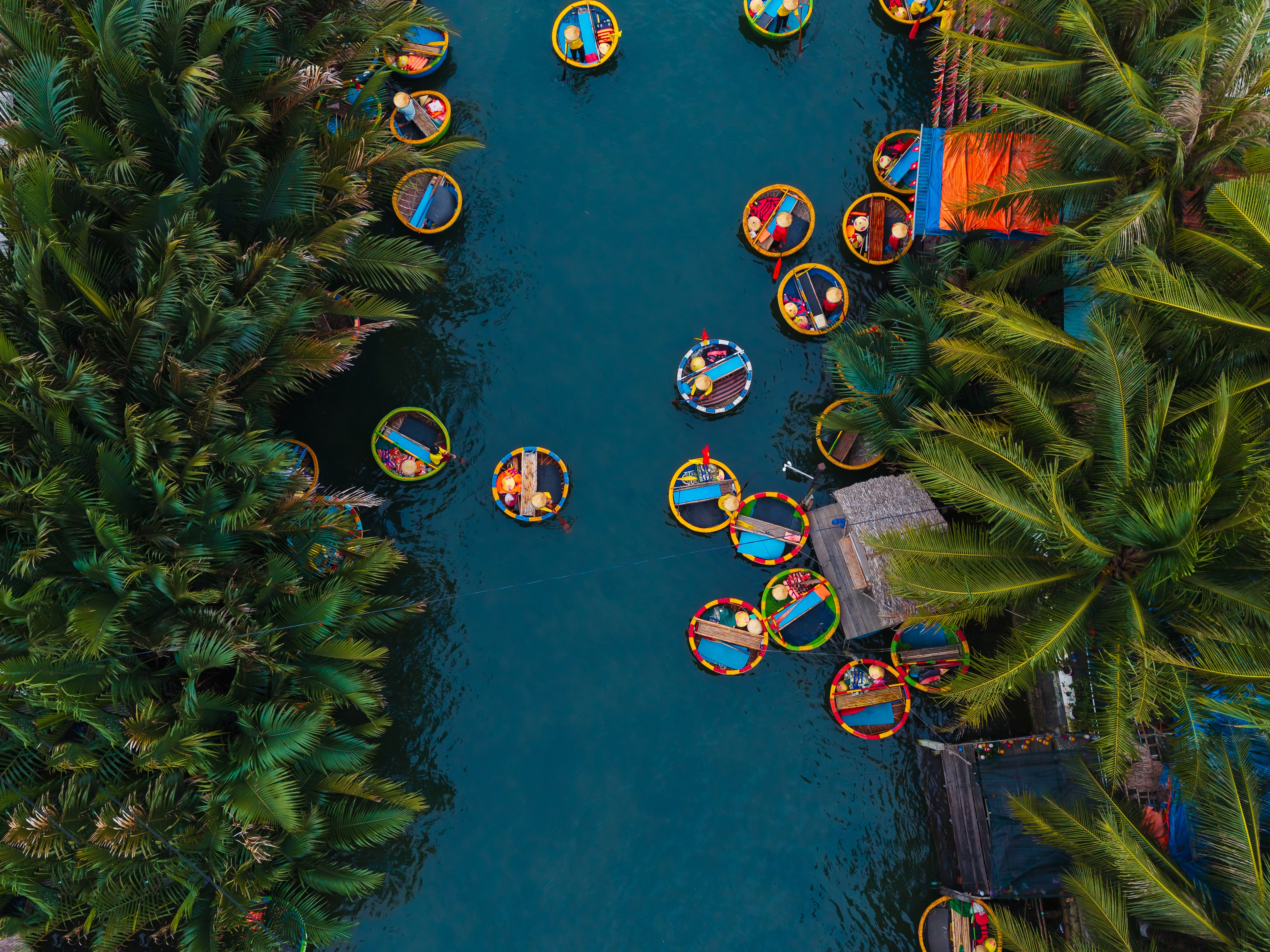 Coconut Forest Ved Hoi An Shutterstock 2694678341