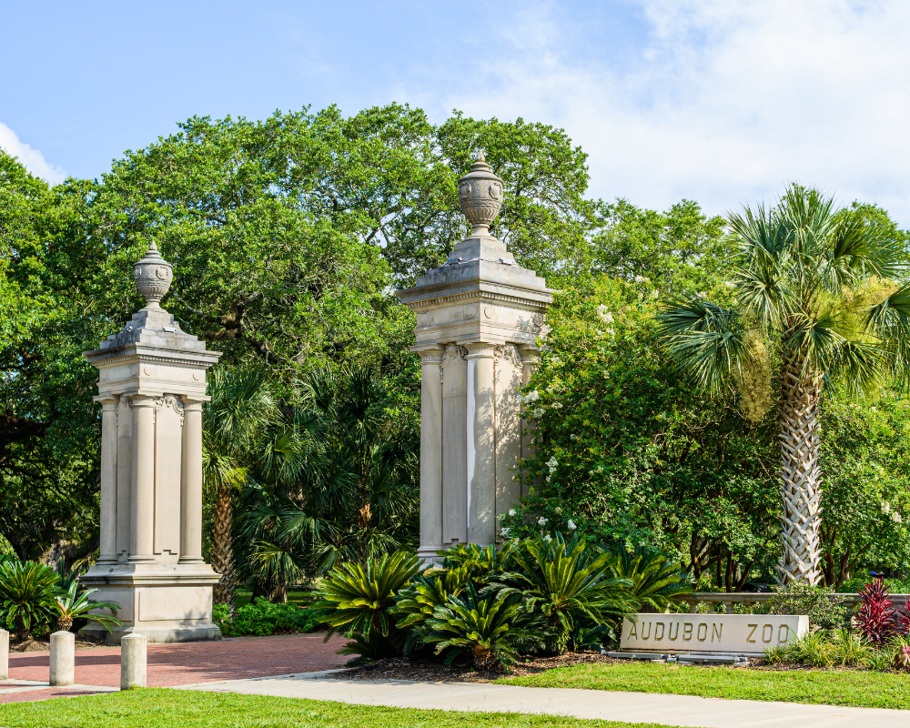 Audubon Park And Zoo