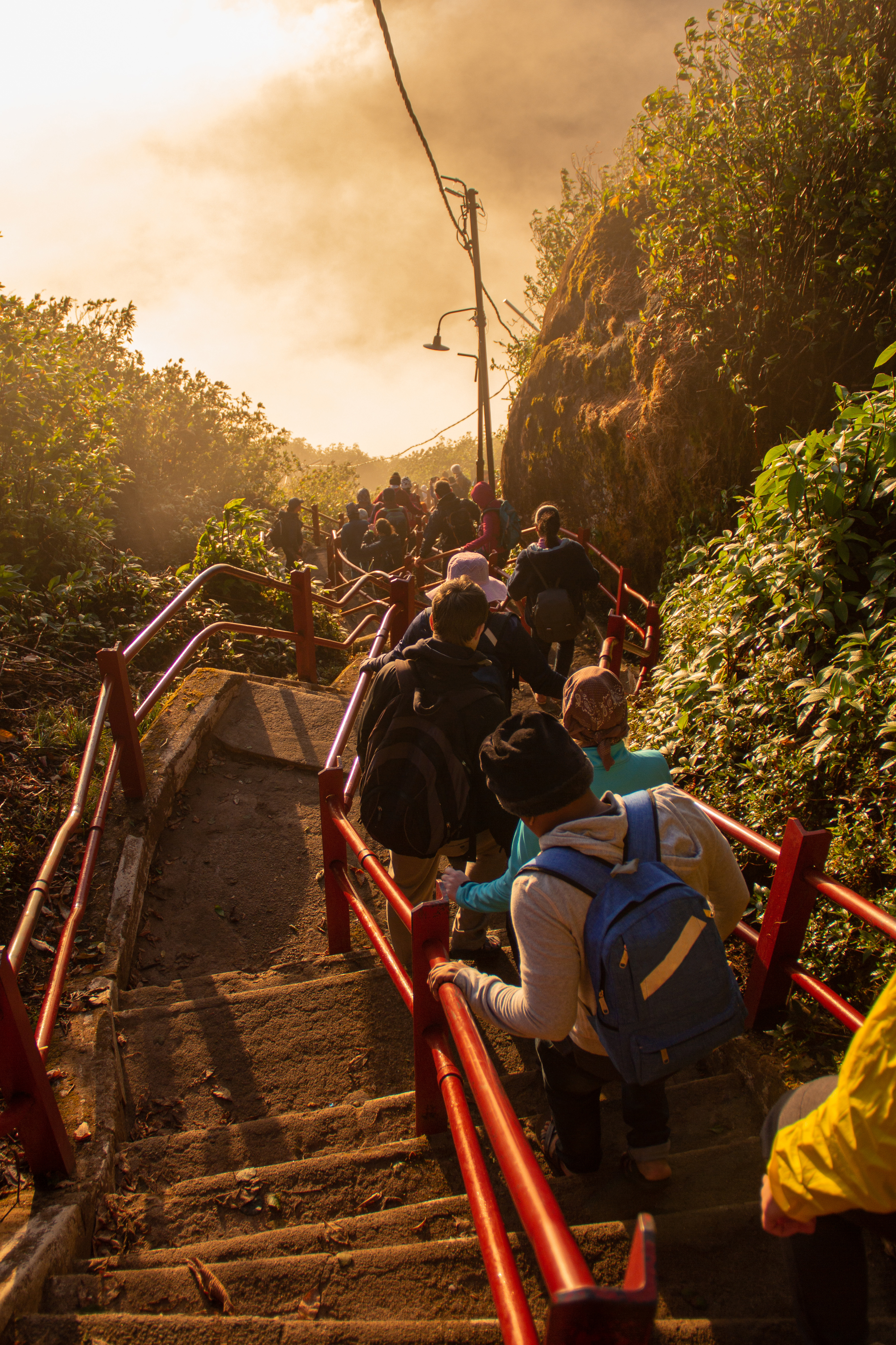 Shutterstock 1822678283 (Dramatic View On The People Go Down The Stairs From Adam's Peak At Misty Sunrise, Sri Lanka)
