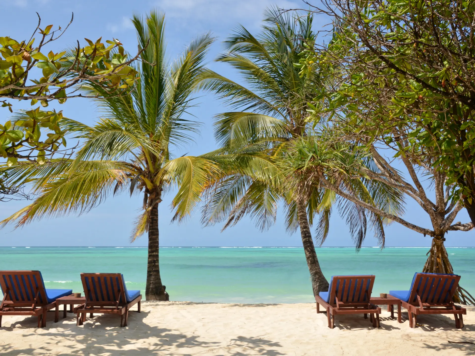 Neptune Pwani Kiwengwa Beach Sunbeds View (1)