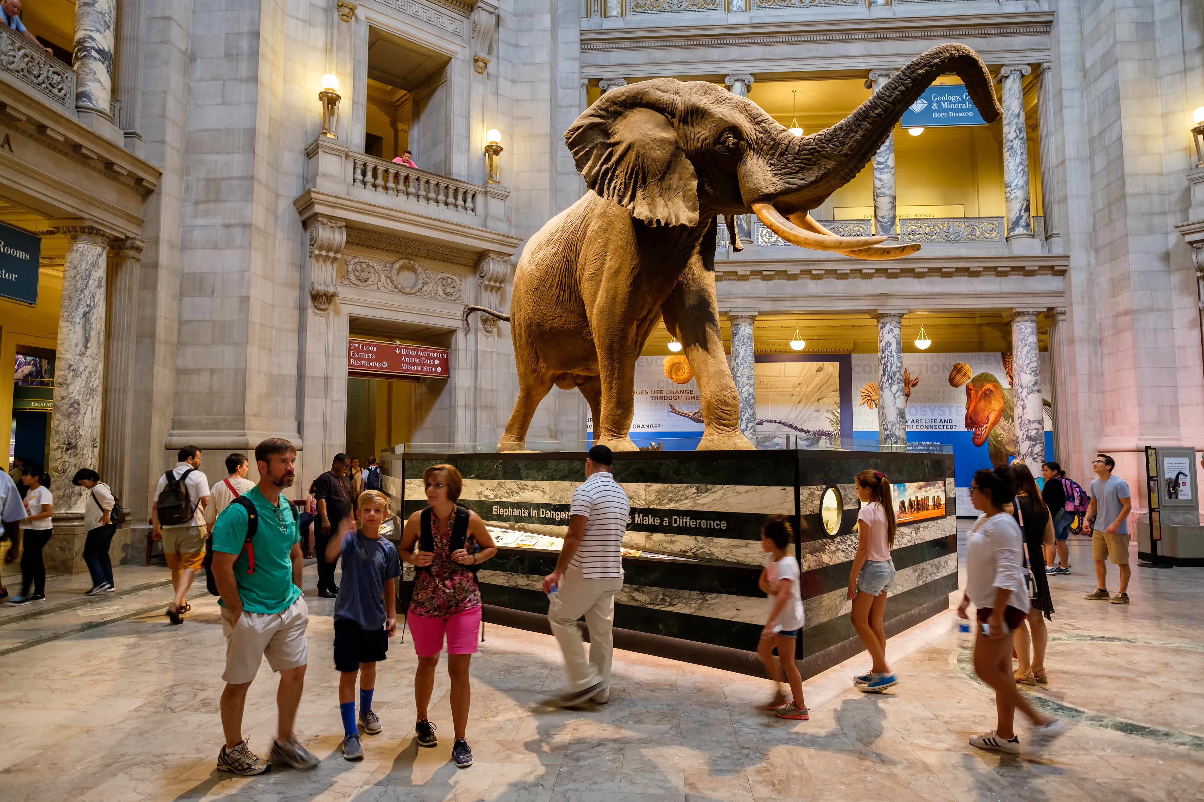 Shutterstock 488066176 WASHINGTON D.C.,USA AUGUST 11,2016 Visitors At The Main Hall Of The National Museum Of Natural History In Washington D.C.