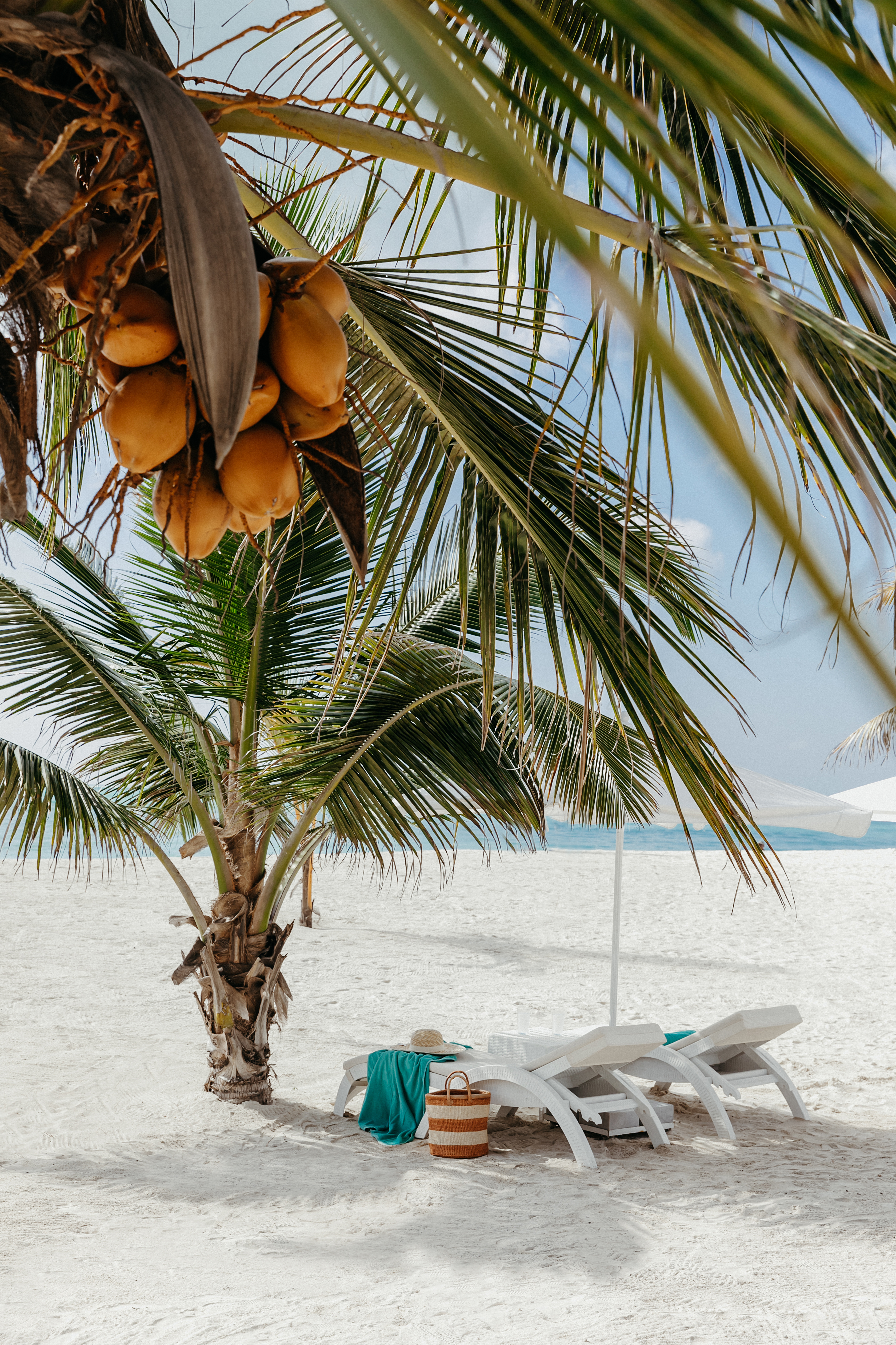 11877 Luxmar 188 3360X5040