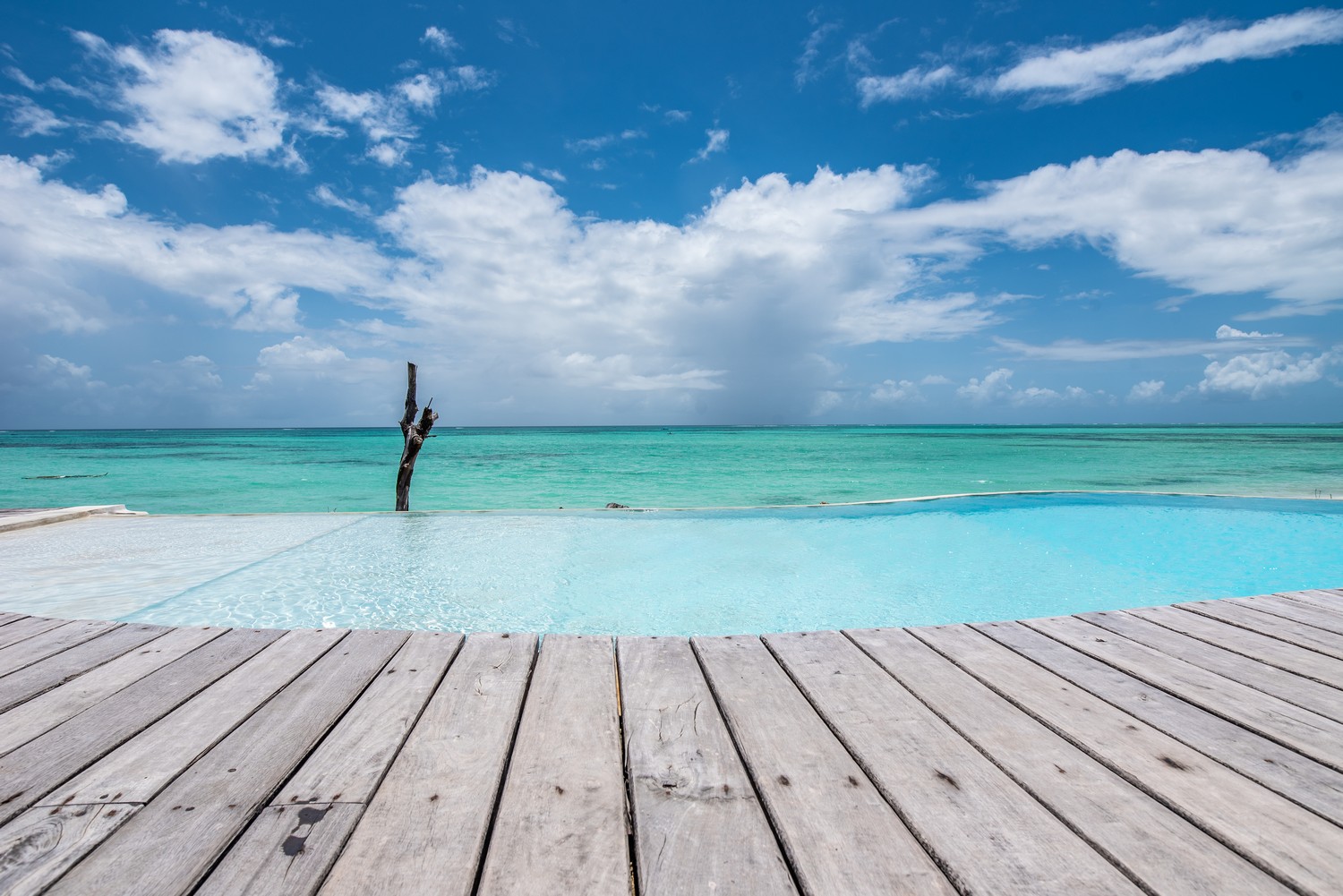 Pongwe Beach Hotel Zanzibar Hotel 76